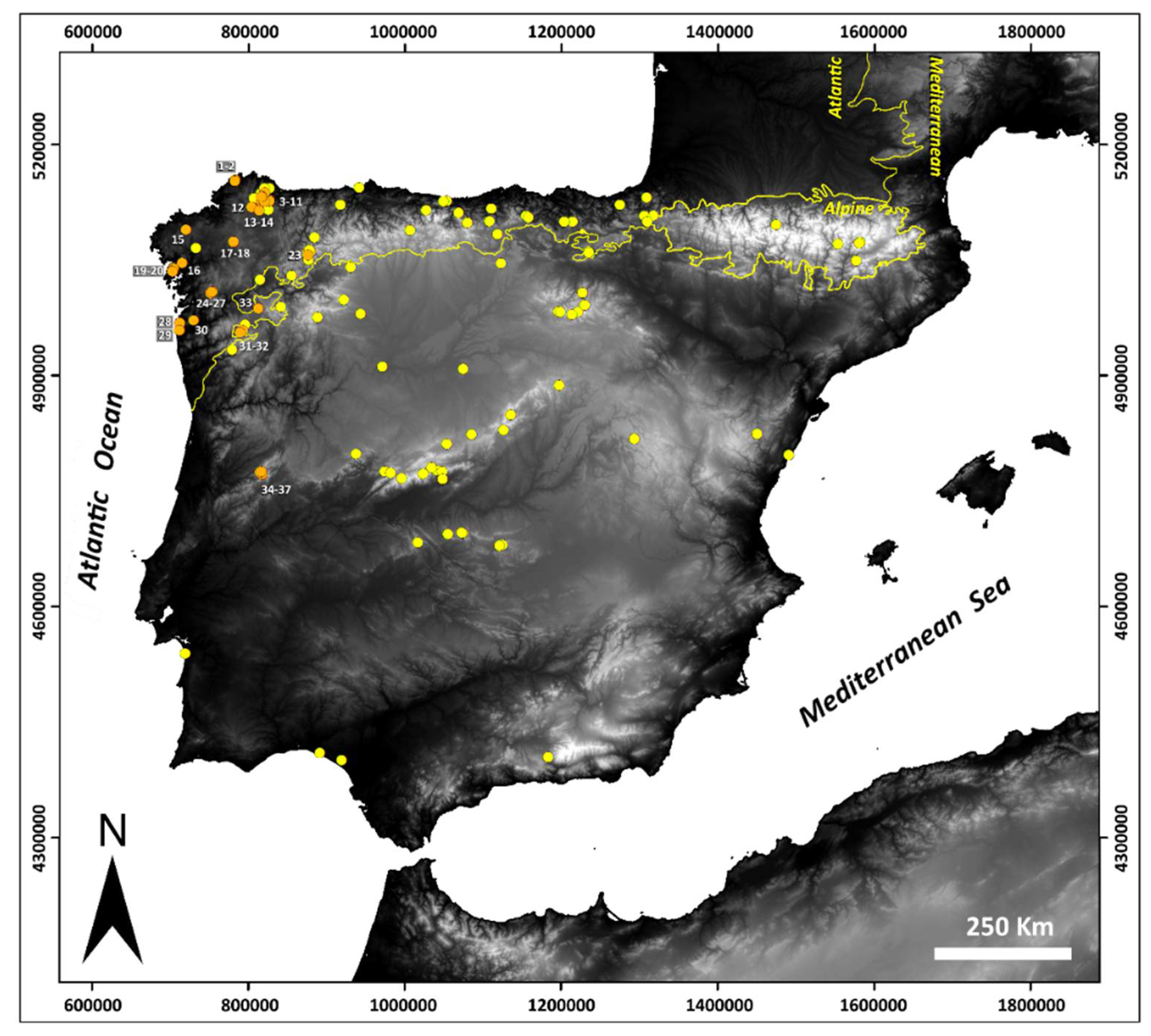 Diversity 13 00269 g001
