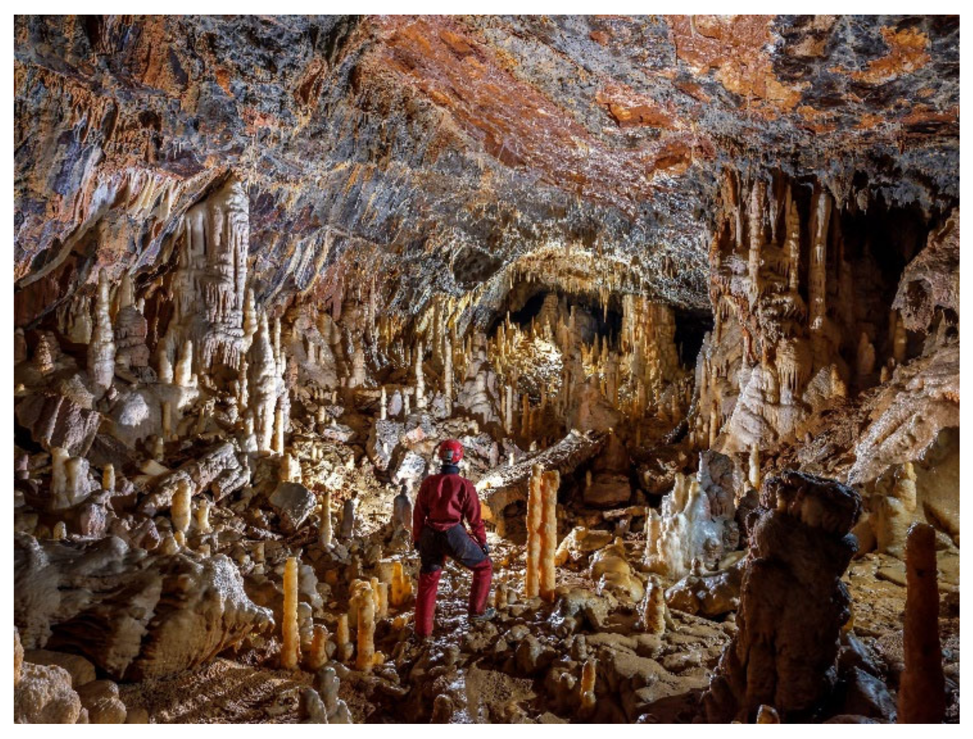 Diversity 13 00271 g002