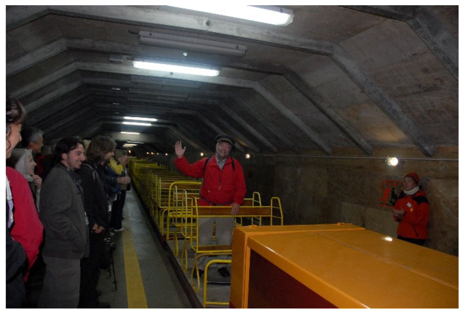 Diversity 13 00271 g003