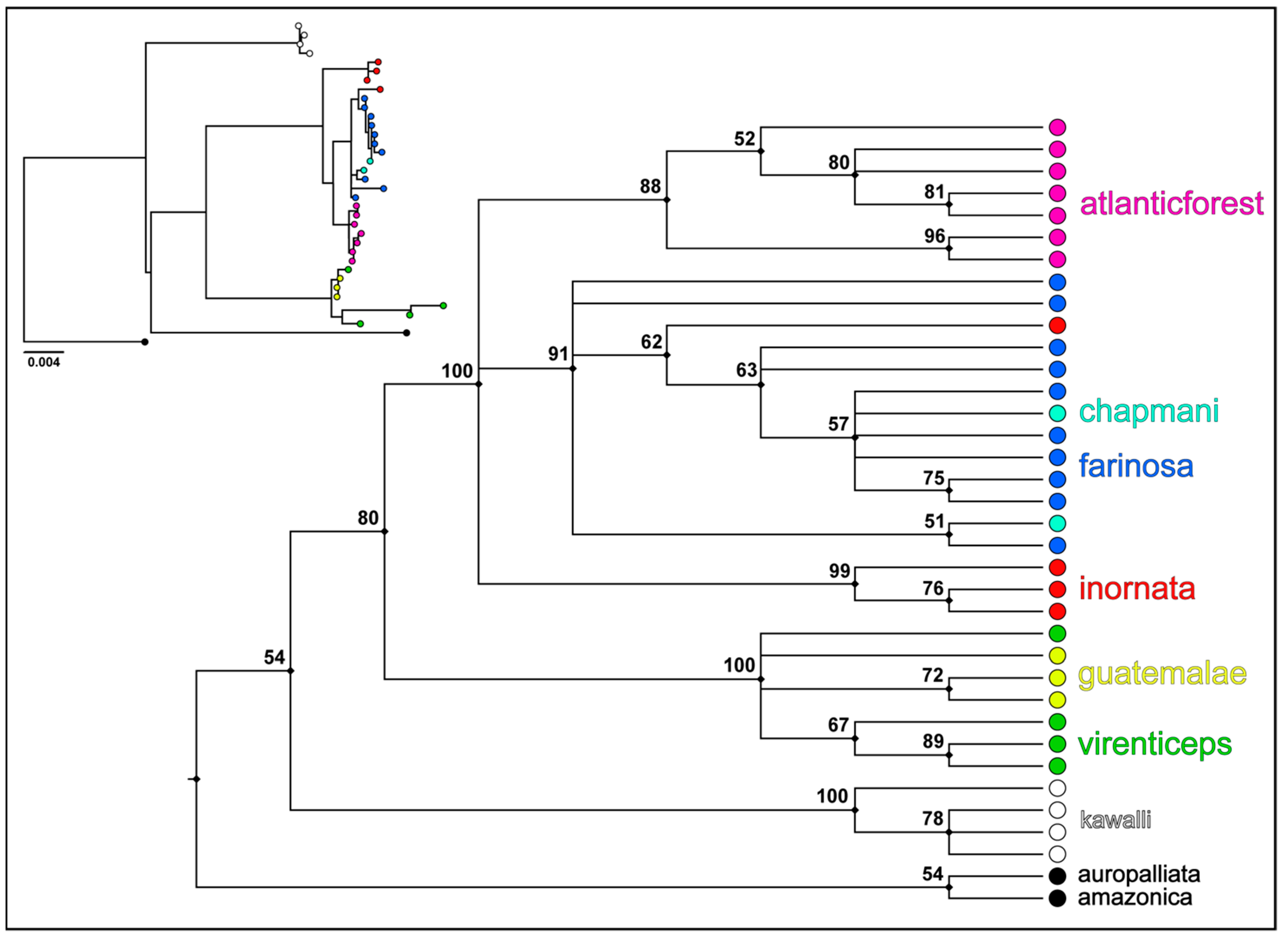 Diversity 13 00273 g002