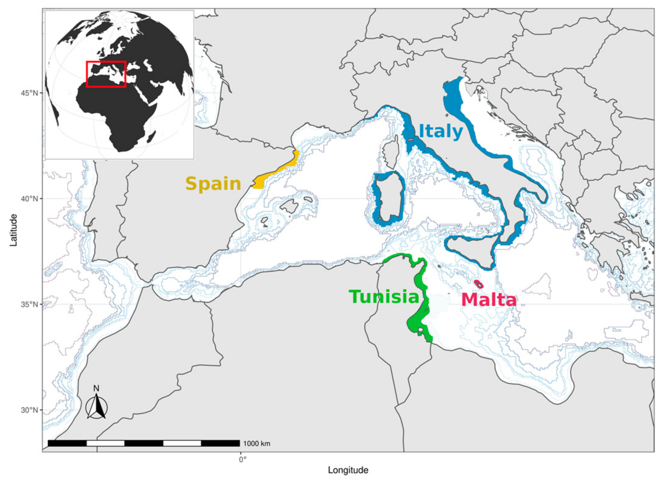 Diversity 13 00274 g001