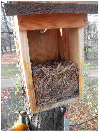 Diversity 13 00277 g0a2