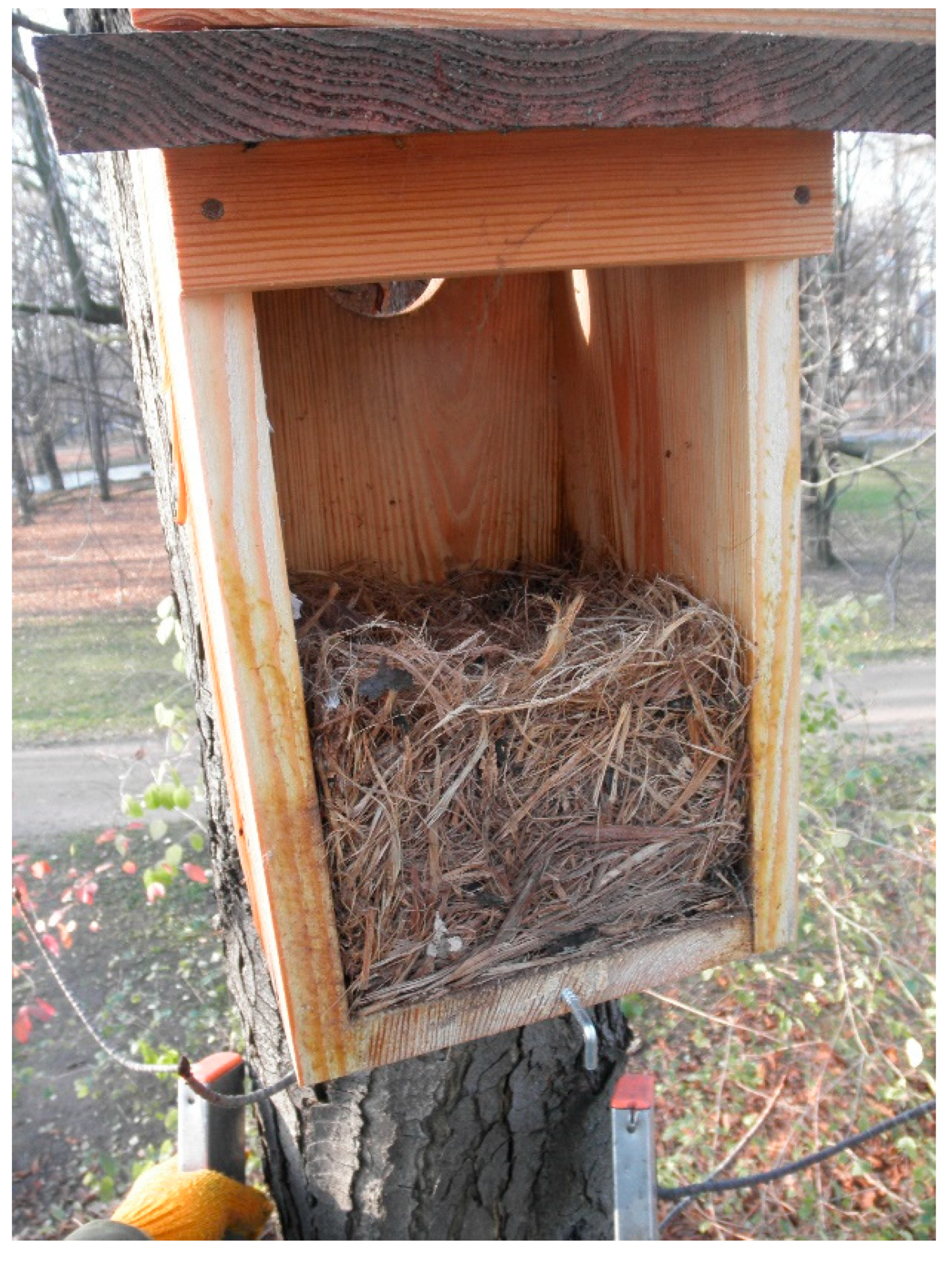 Diversity 13 00277 g0a2 Diversity 13 00277 g0a2