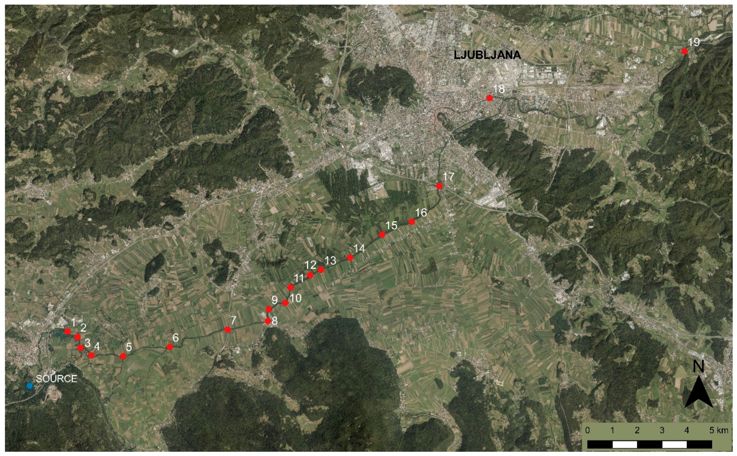 Diversity 13 00278 g001