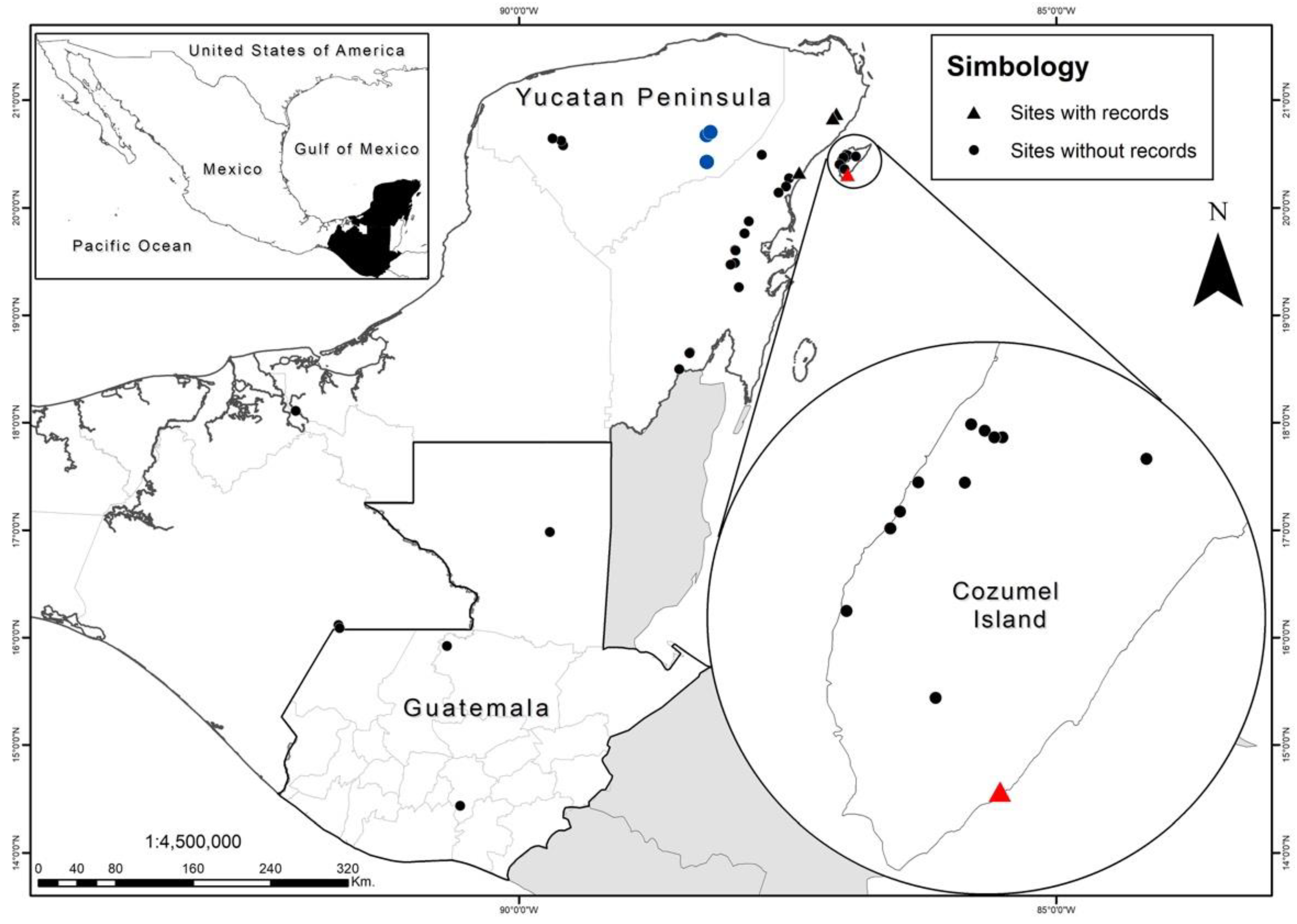Diversity 13 00279 g001