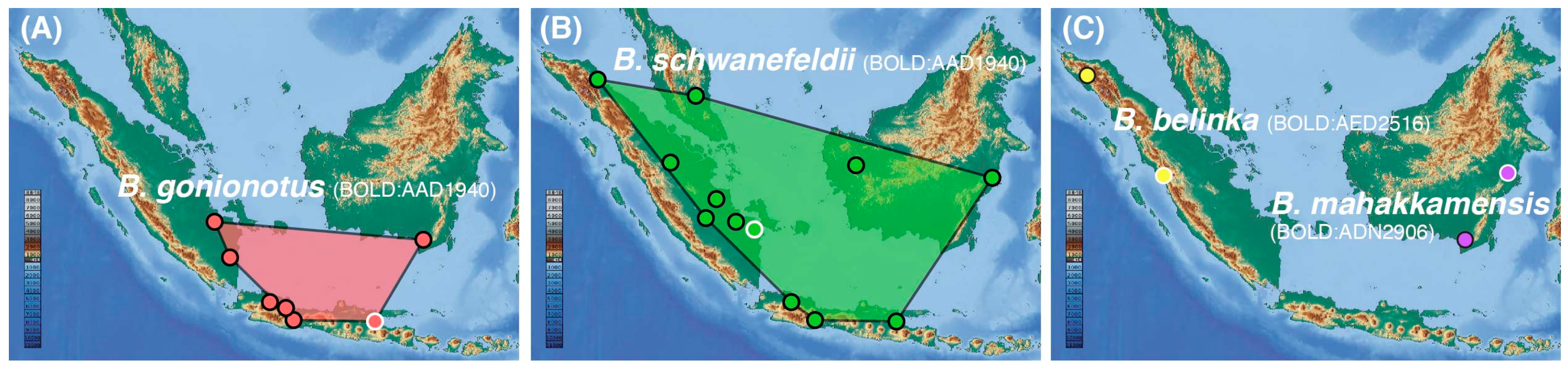 Diversity 13 00283 g003