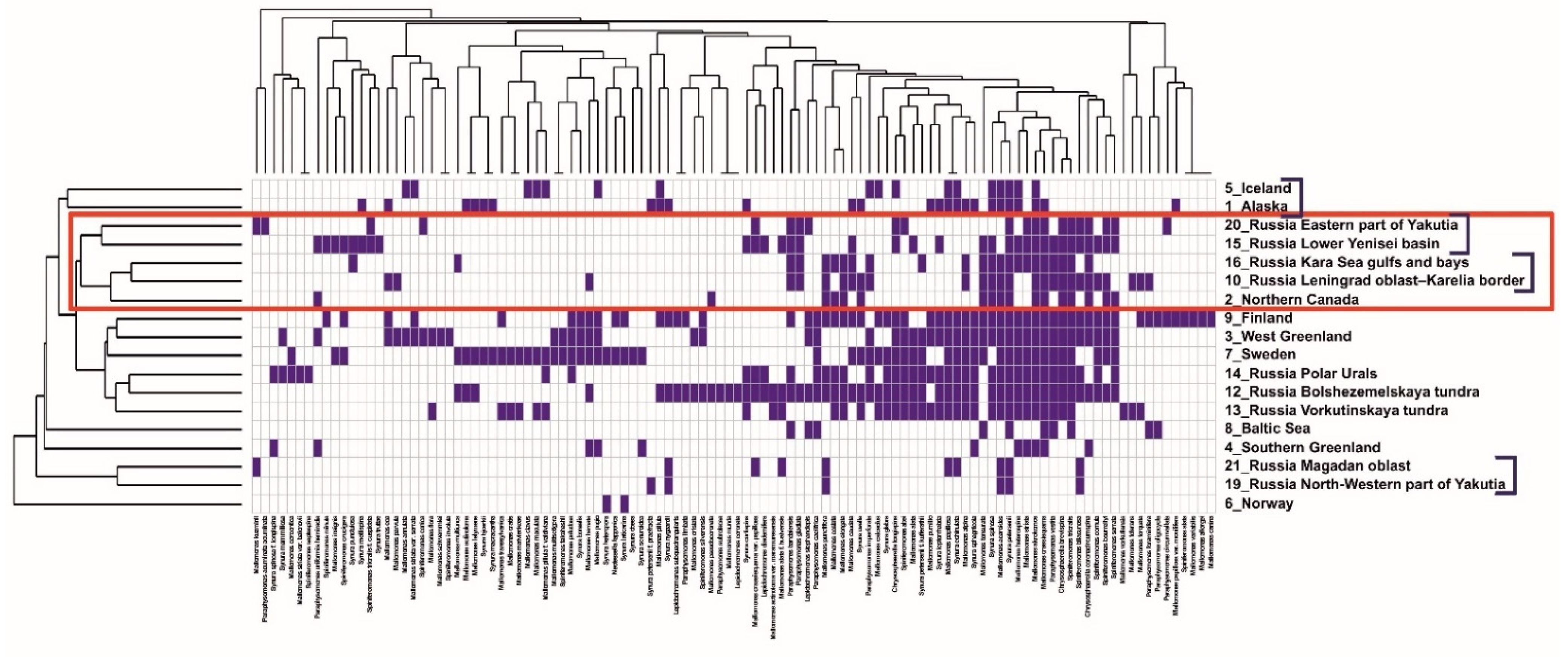 Diversity 13 00284 g005