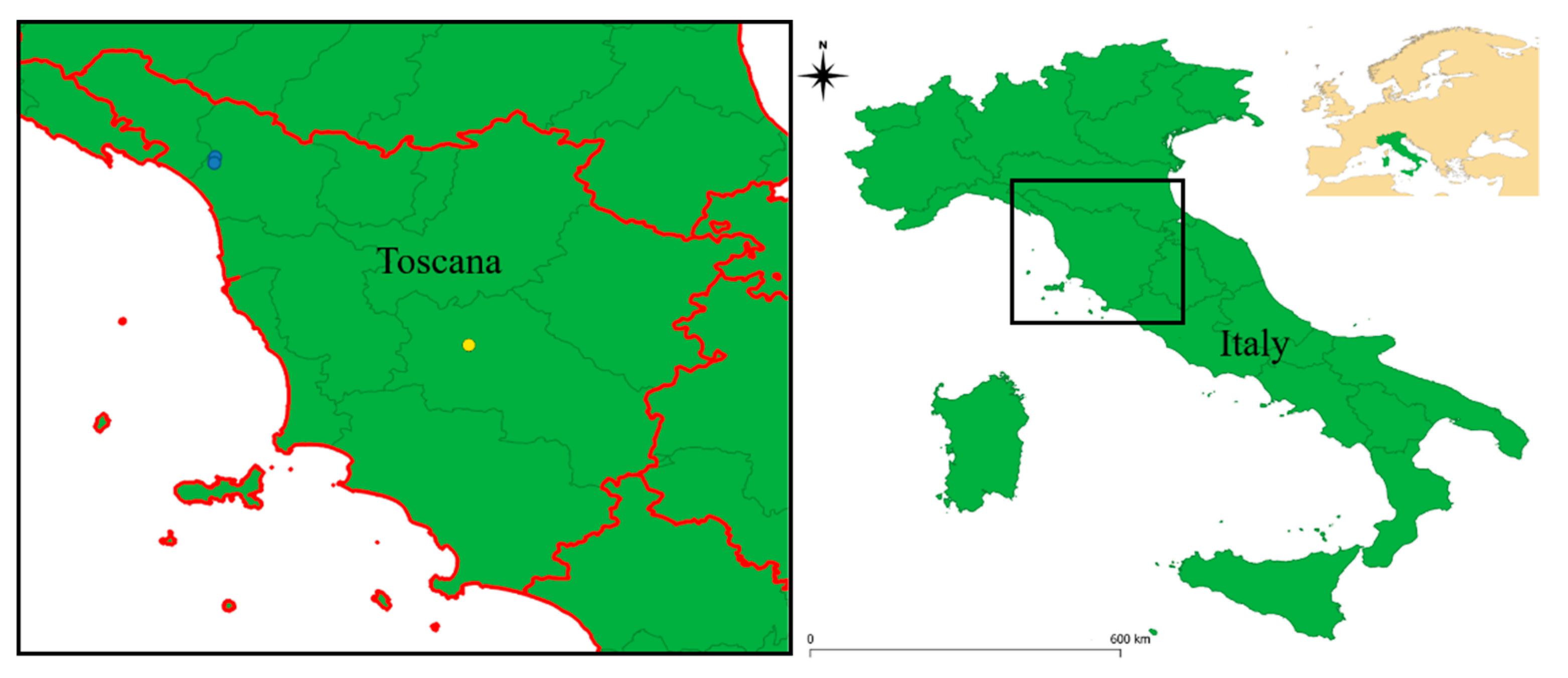 Diversity 13 00285 g001