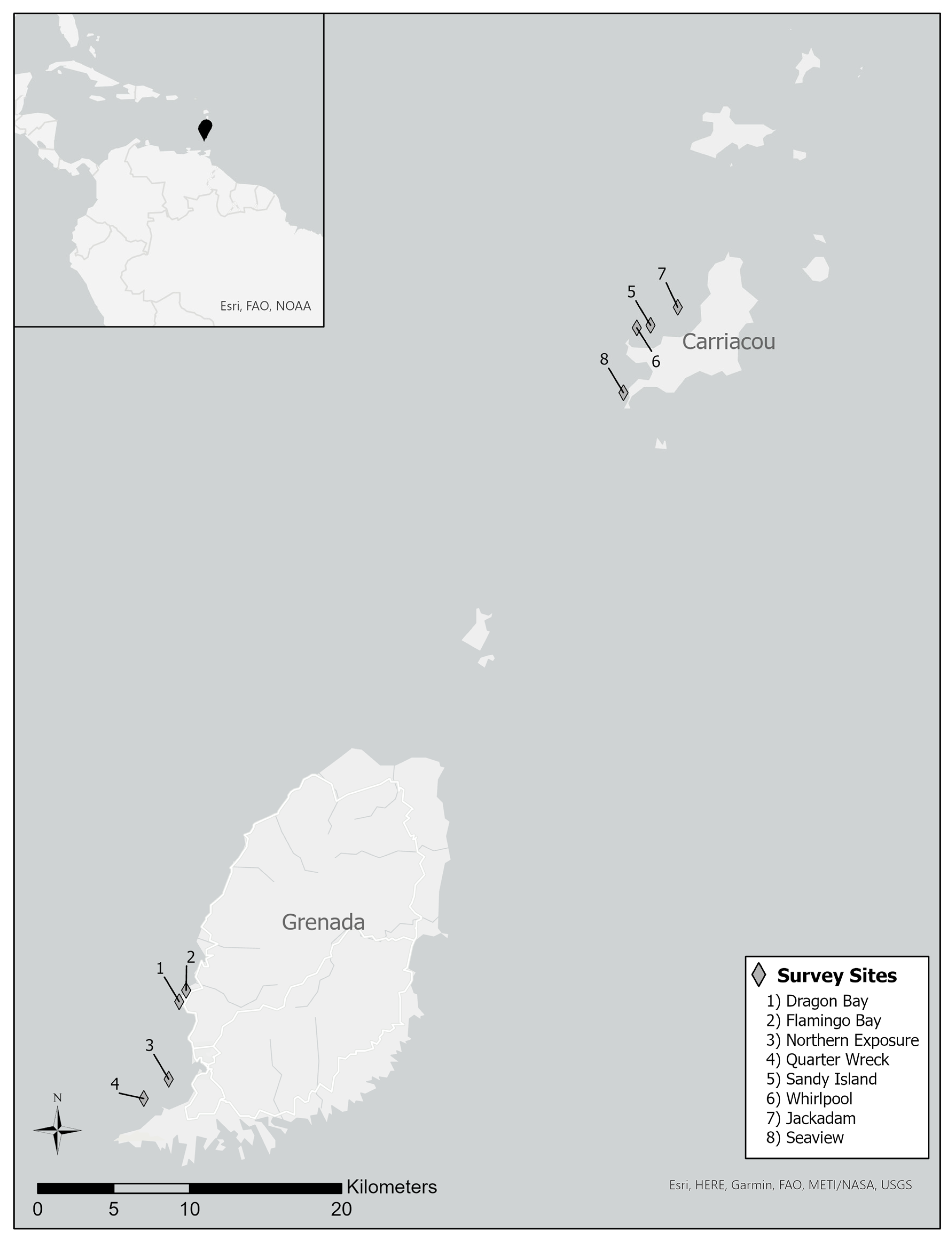 Diversity 13 00288 g001