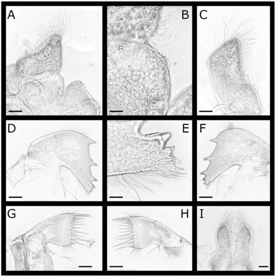 Diversity 13 00290 g022