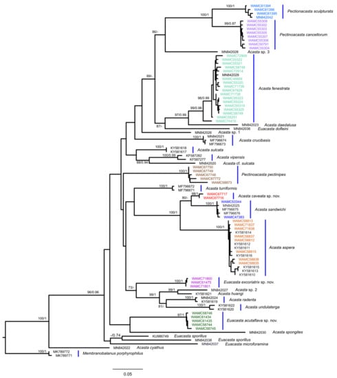 Diversity 13 00290 g029