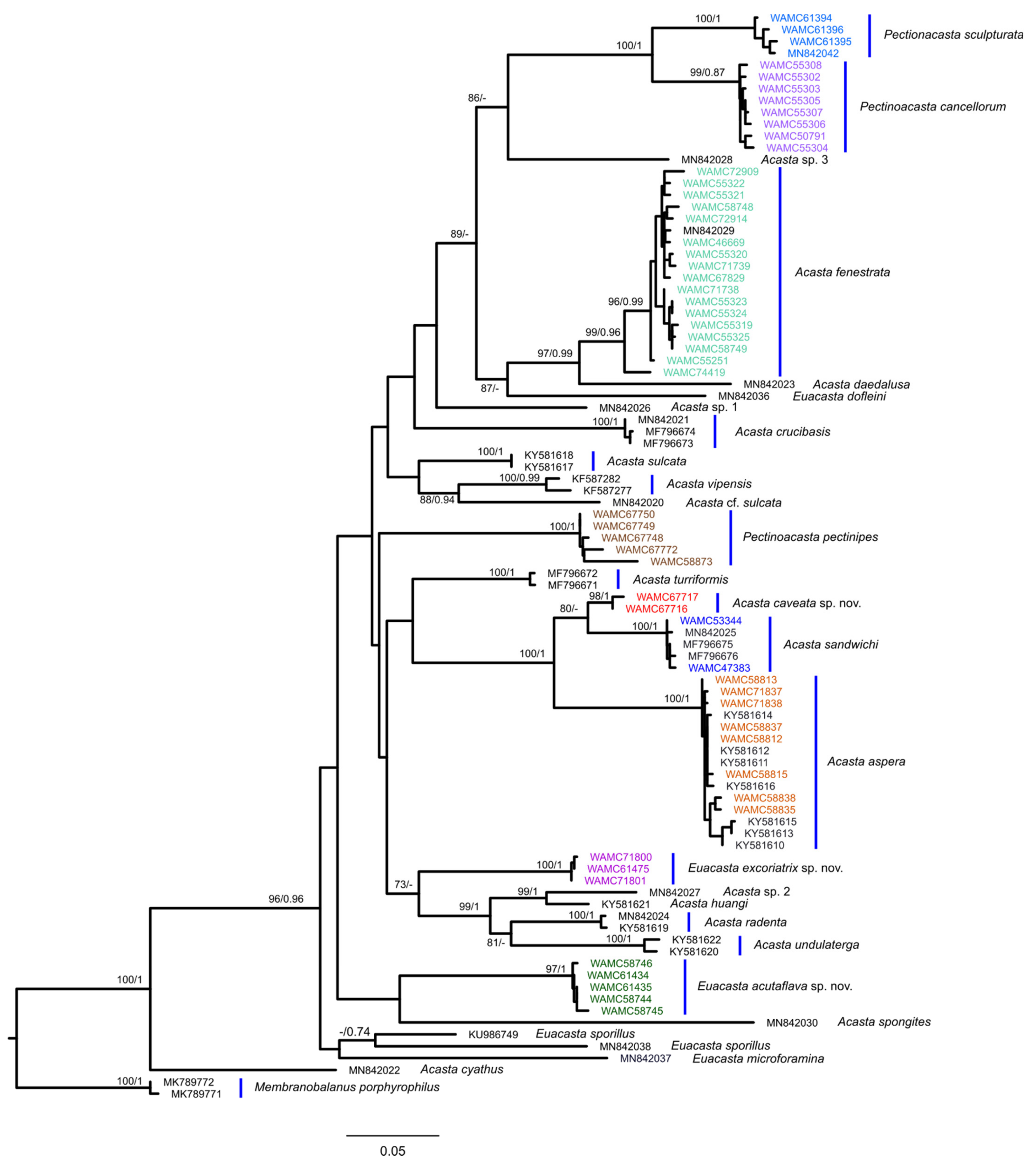 Diversity 13 00290 g029