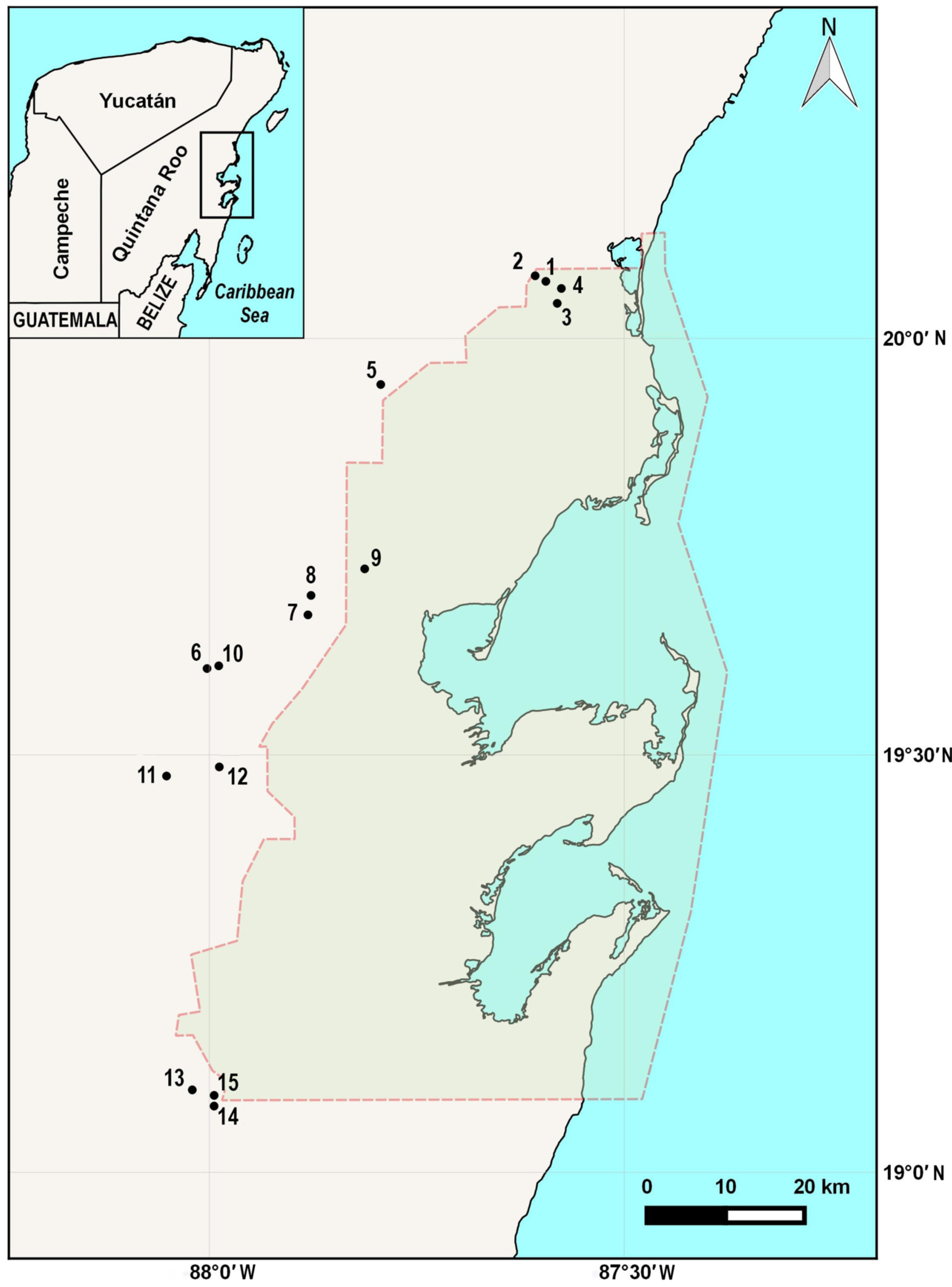 Diversity 13 00292 g001 Diversity 13 00292 g001