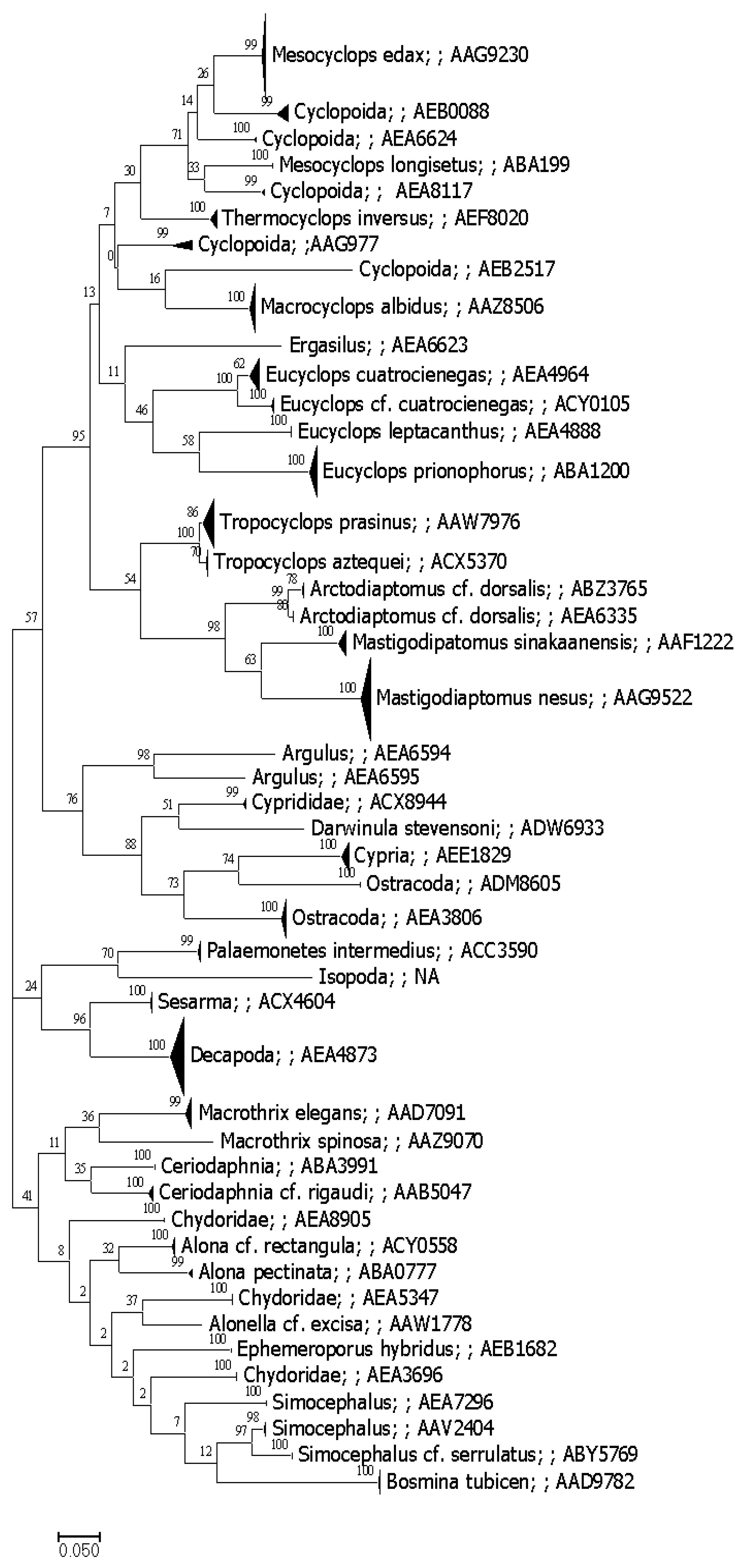 Diversity 13 00292 g004 Diversity 13 00292 g004