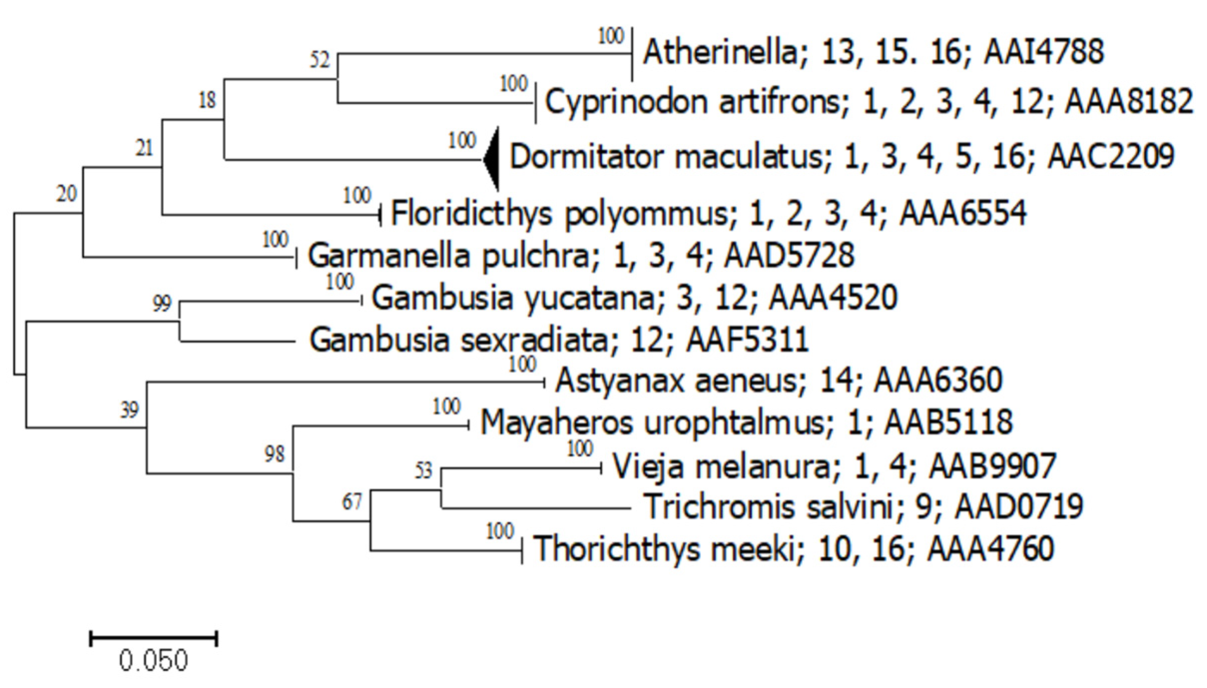Diversity 13 00292 g006 Diversity 13 00292 g006