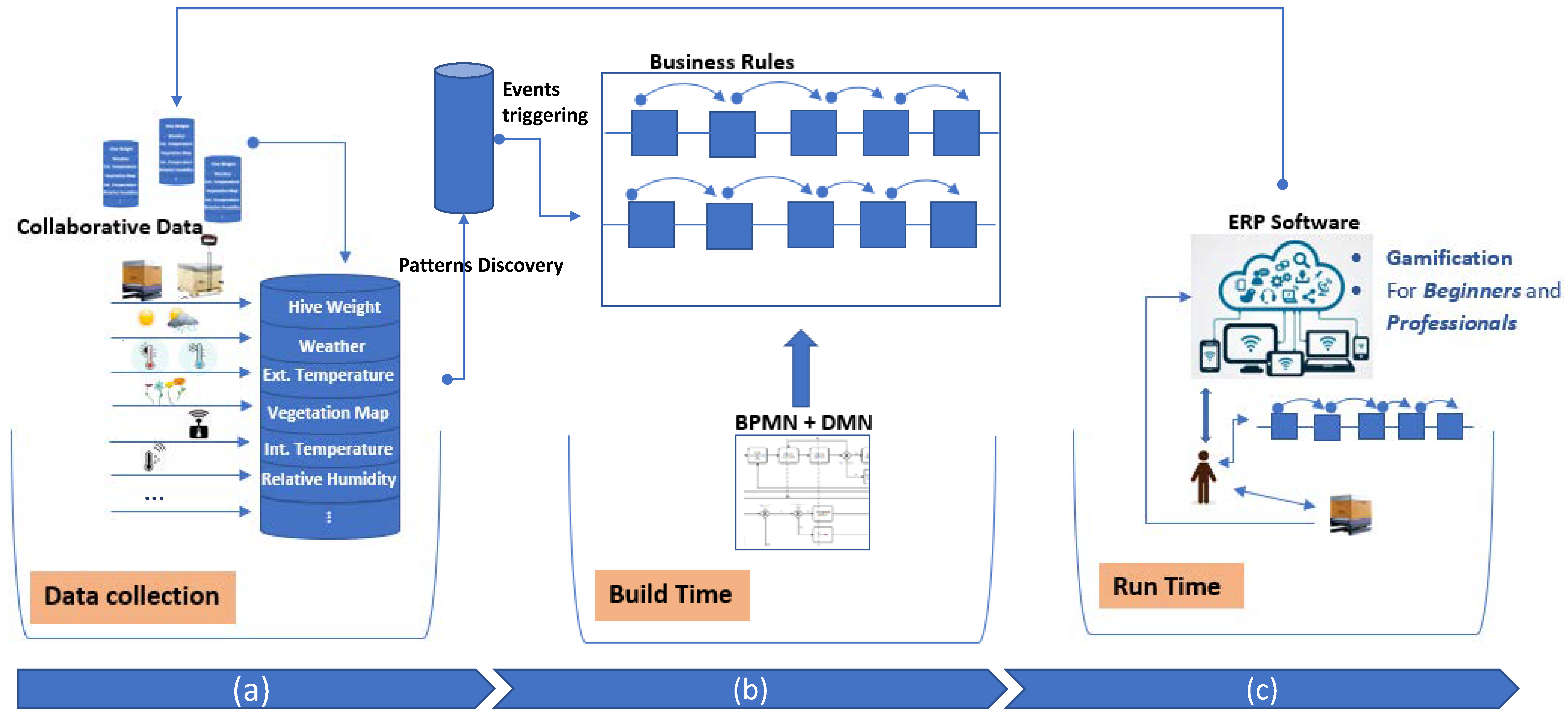 Diversity 13 00296 g001