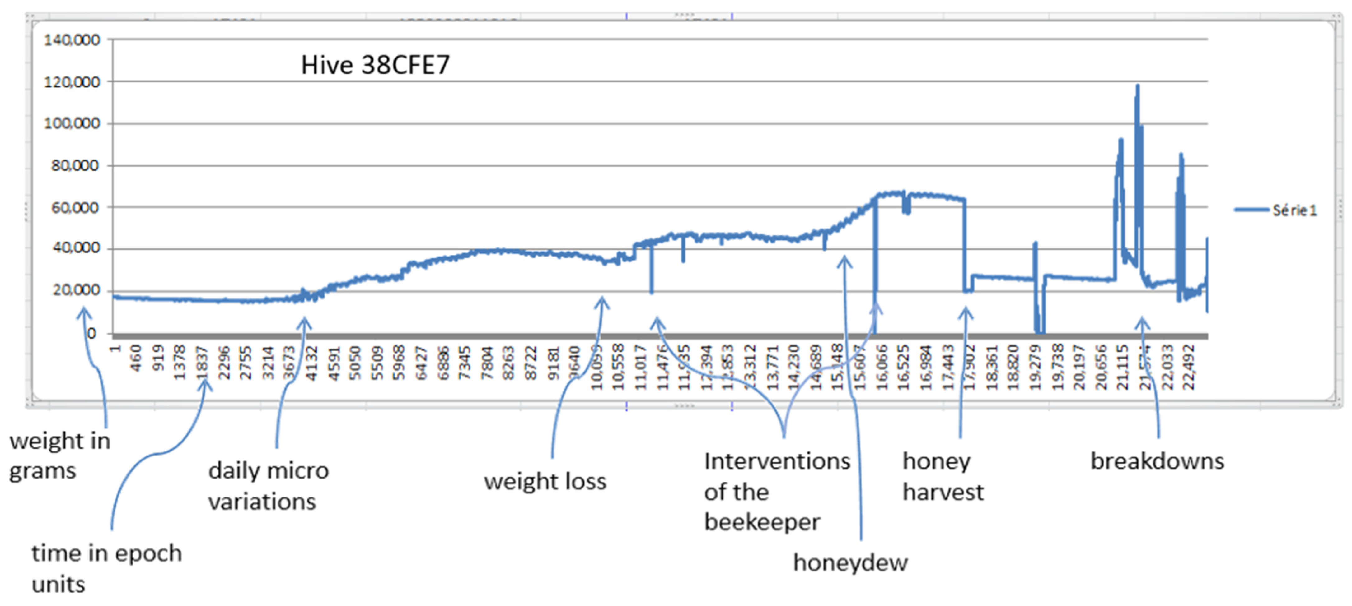 Diversity 13 00296 g004