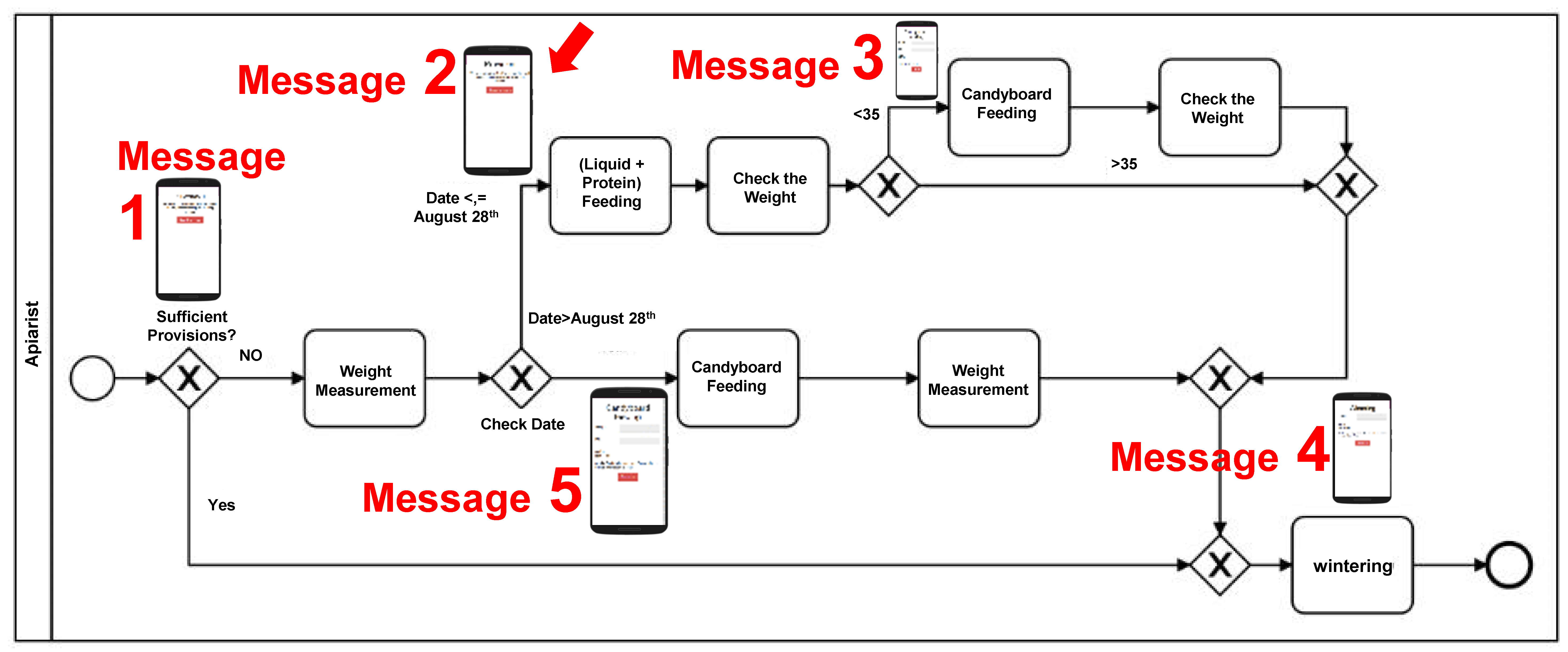 Diversity 13 00296 g010