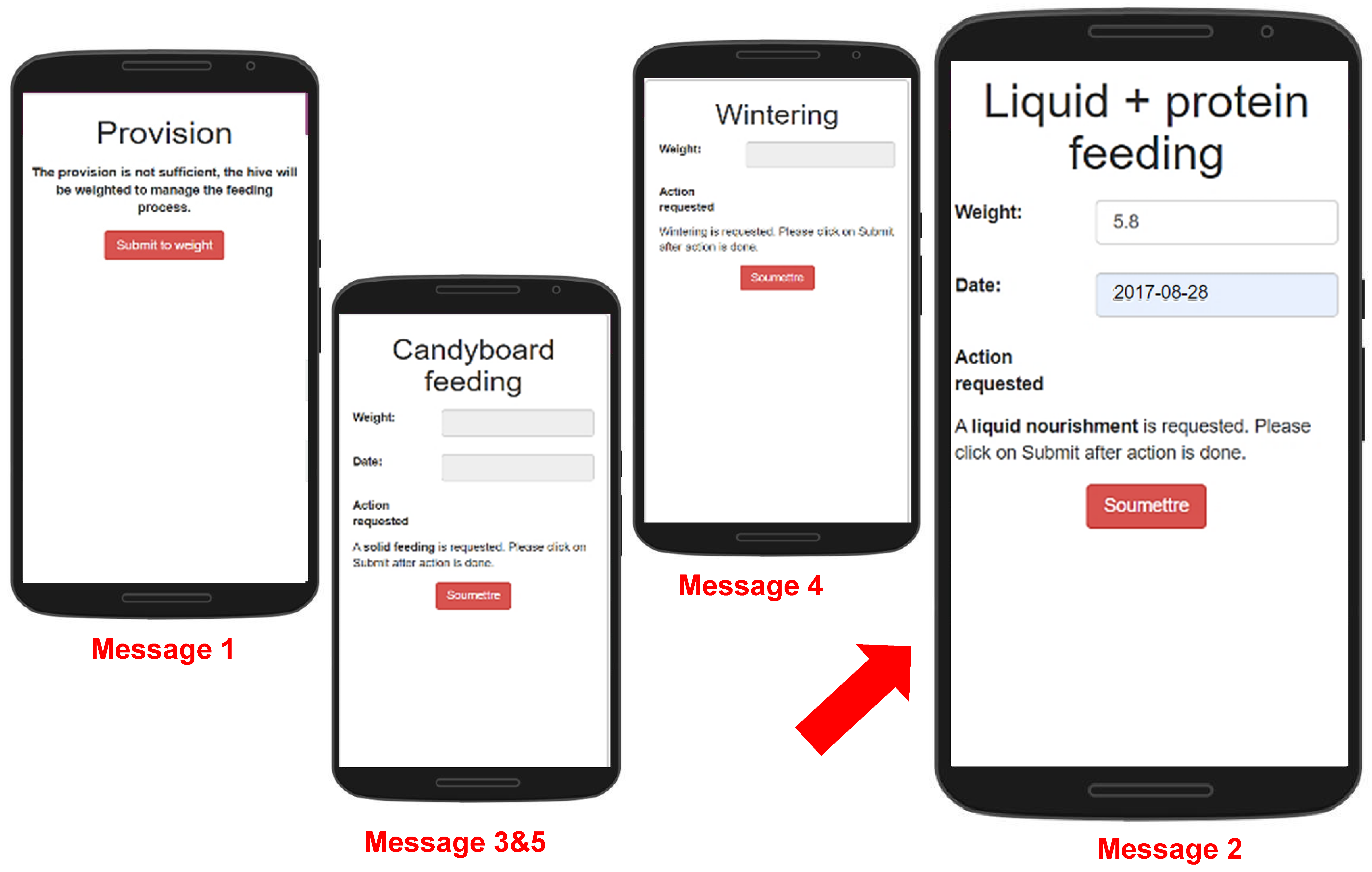 Diversity 13 00296 g011