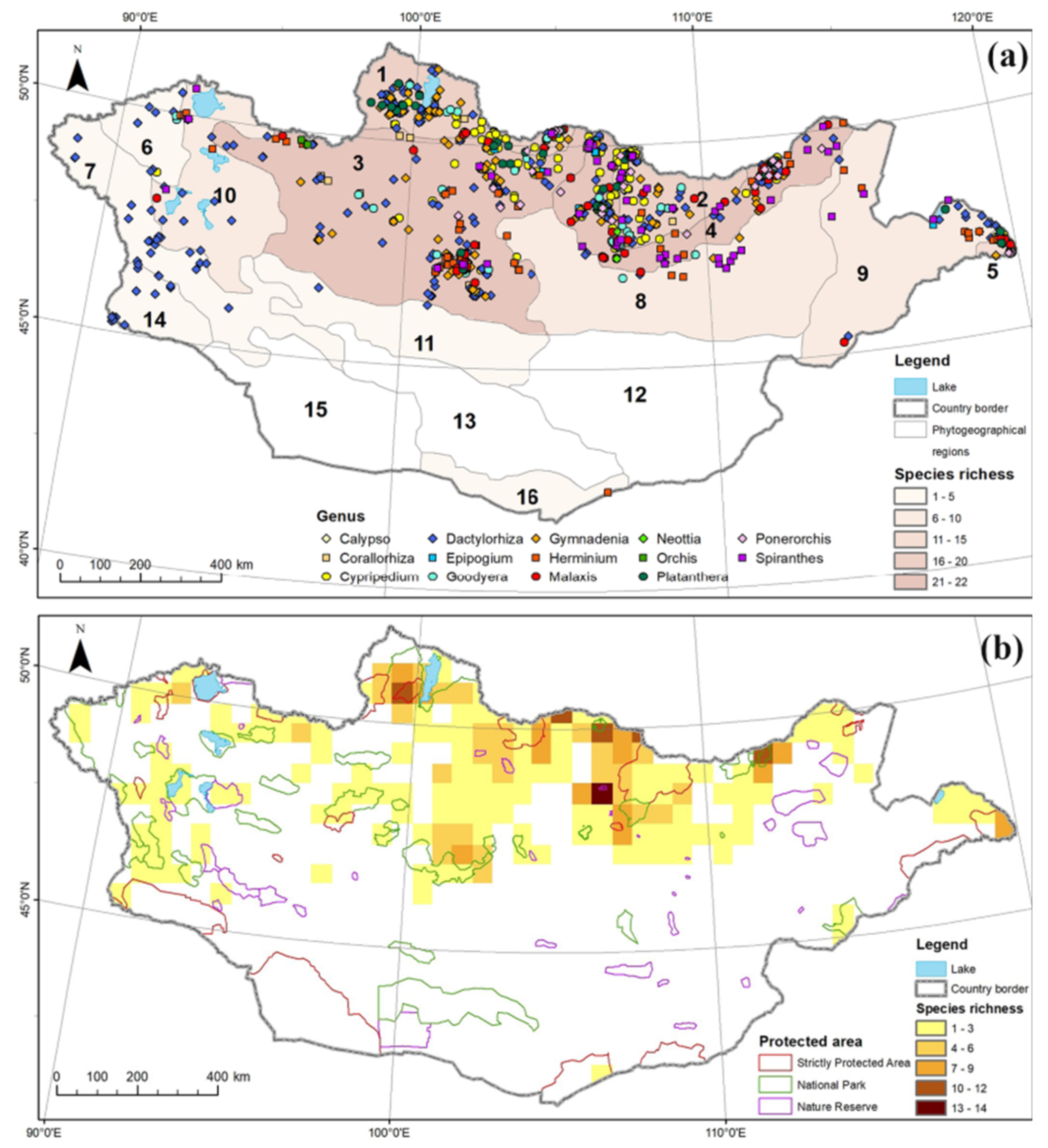 Diversity 13 00302 g004