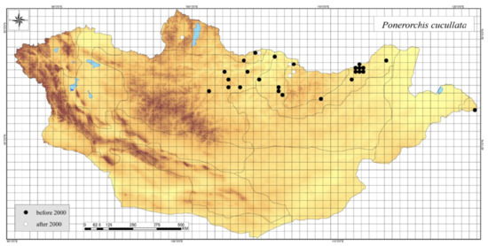 Diversity 13 00302 g0a25