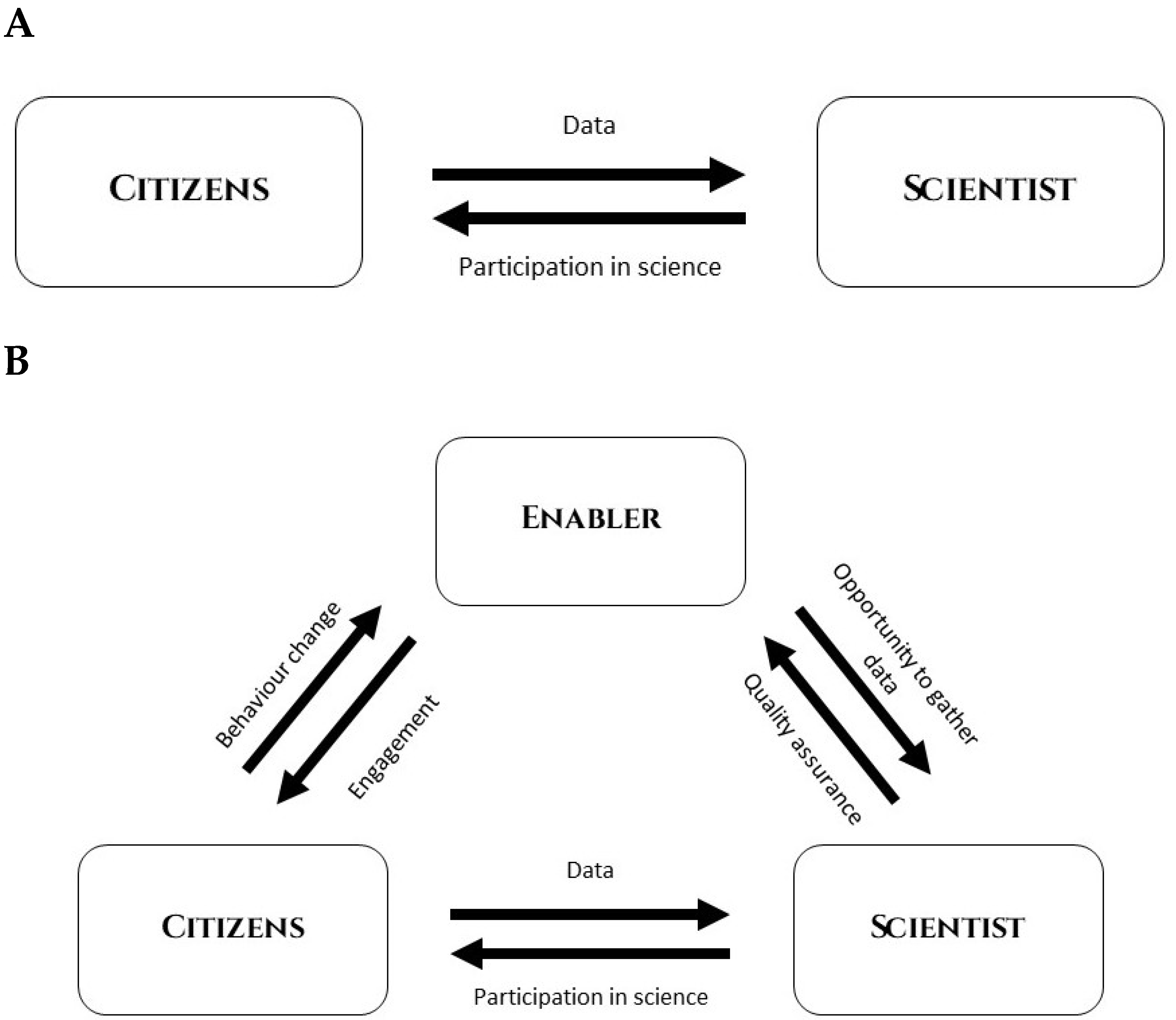 Diversity 13 00309 g001