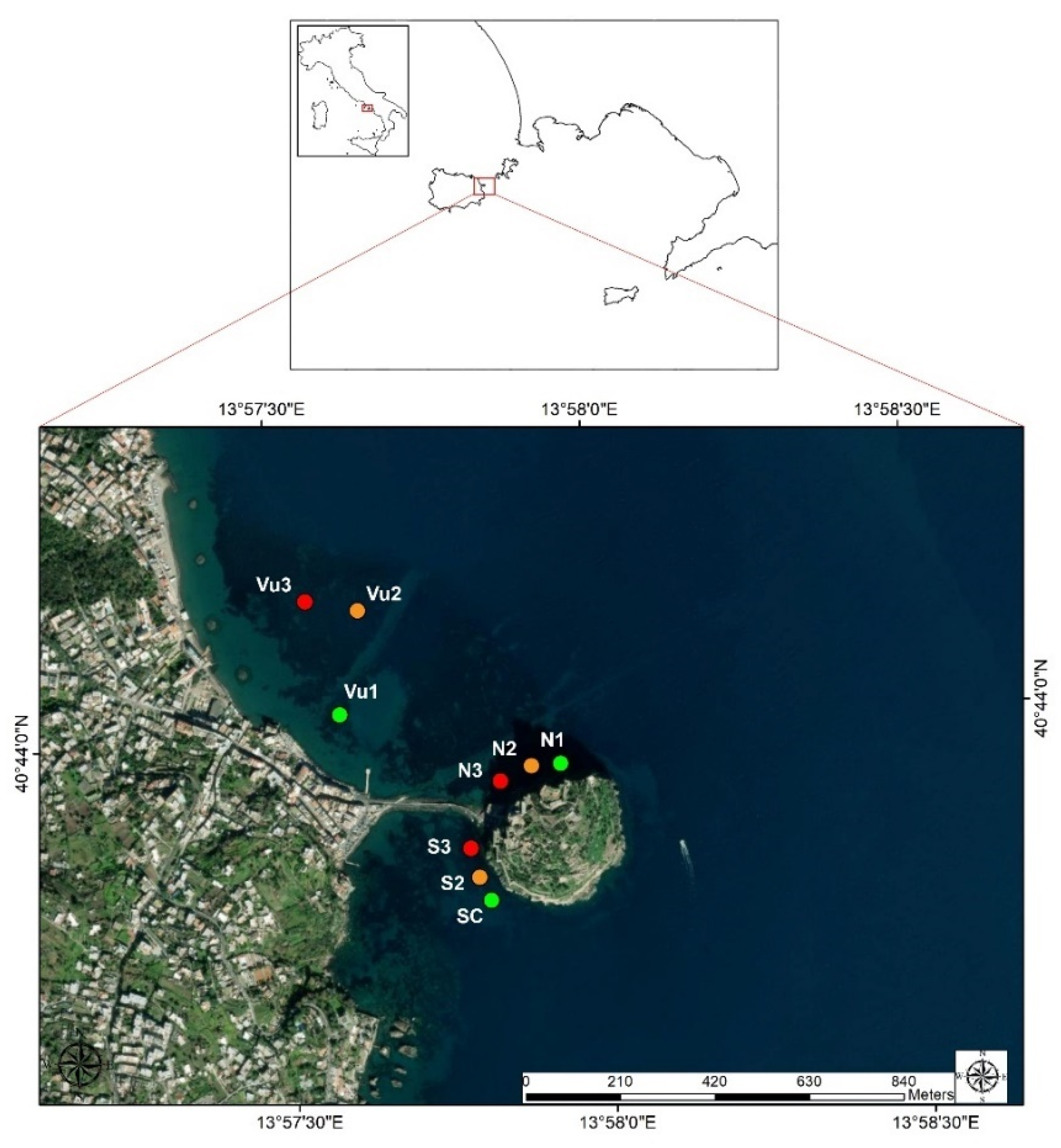 Diversity 13 00311 g001