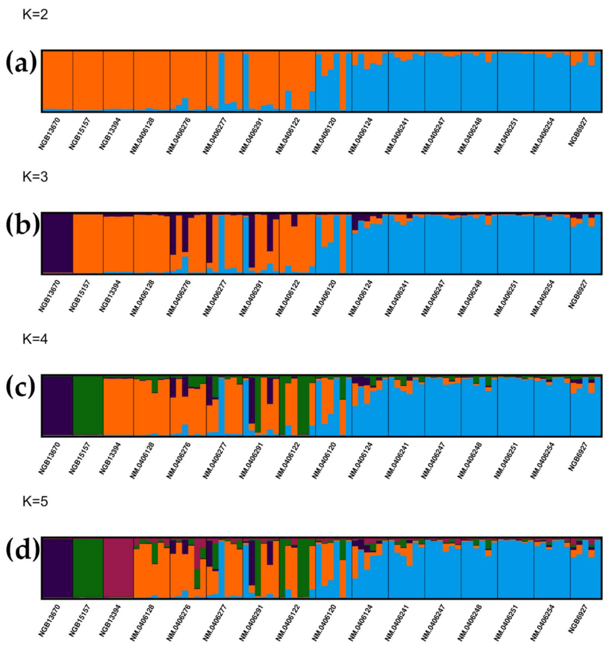 Diversity 13 00315 g001