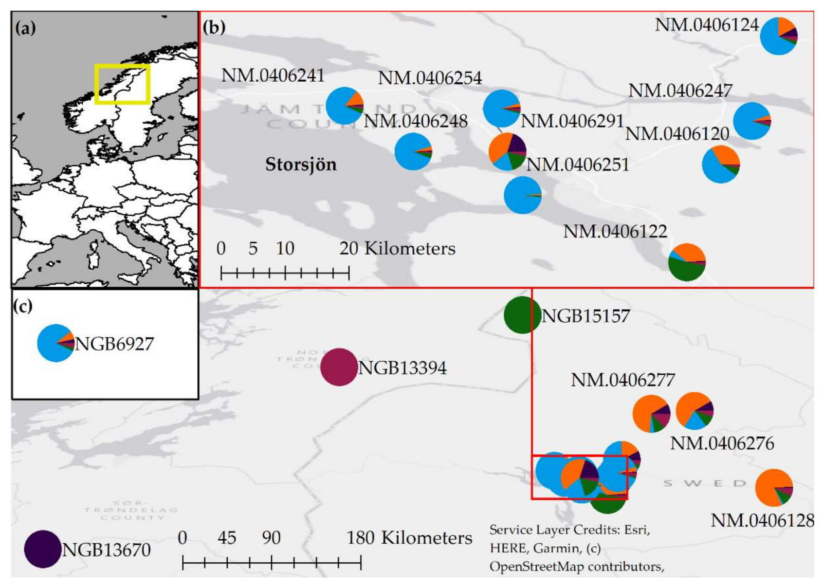 Diversity 13 00315 g002