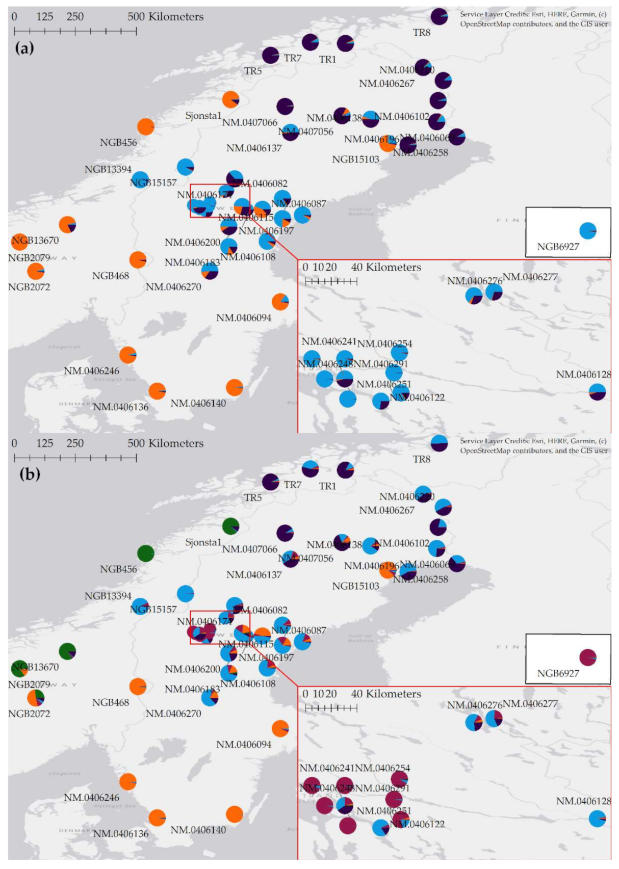 Diversity 13 00315 g004