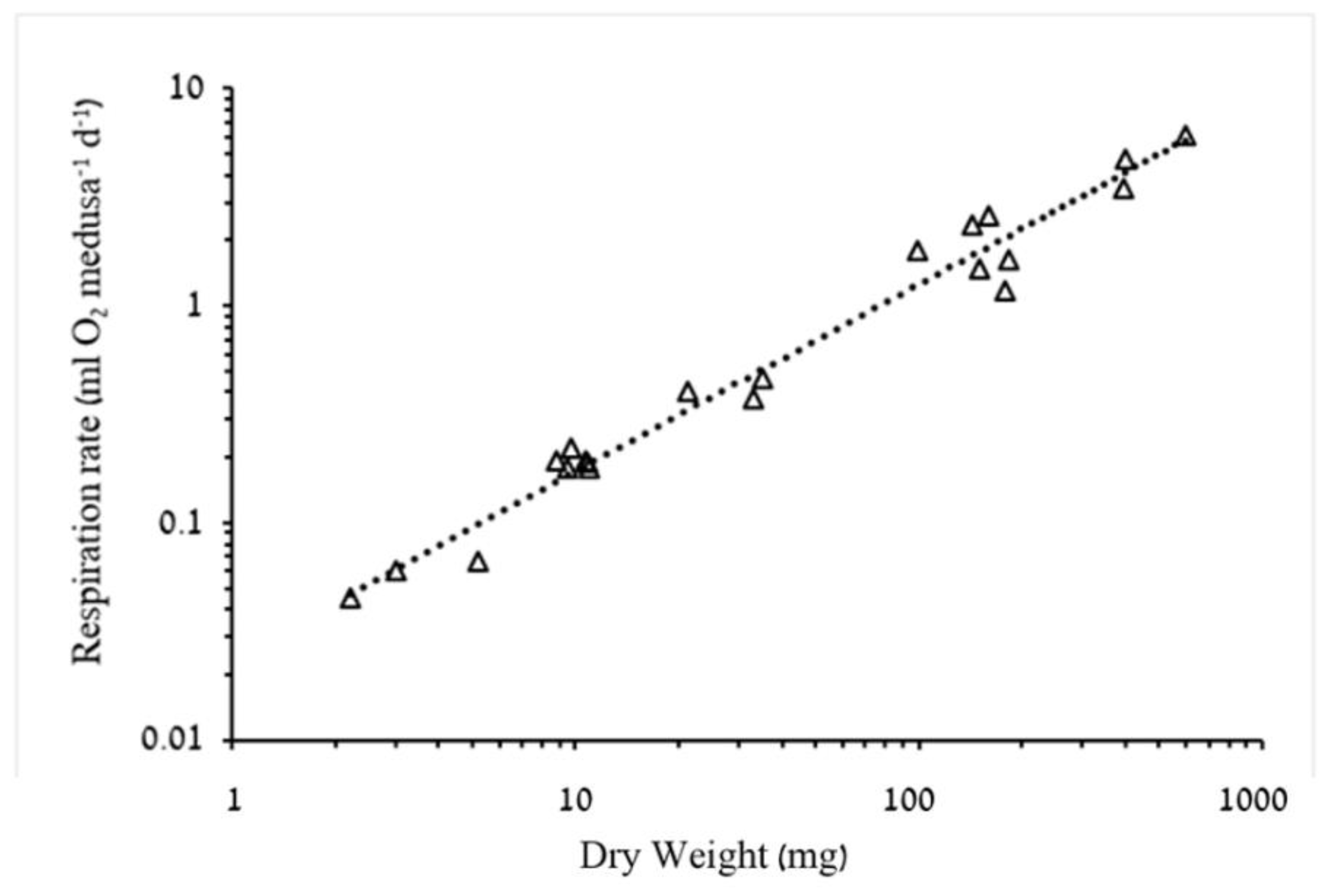 Diversity 13 00320 g004