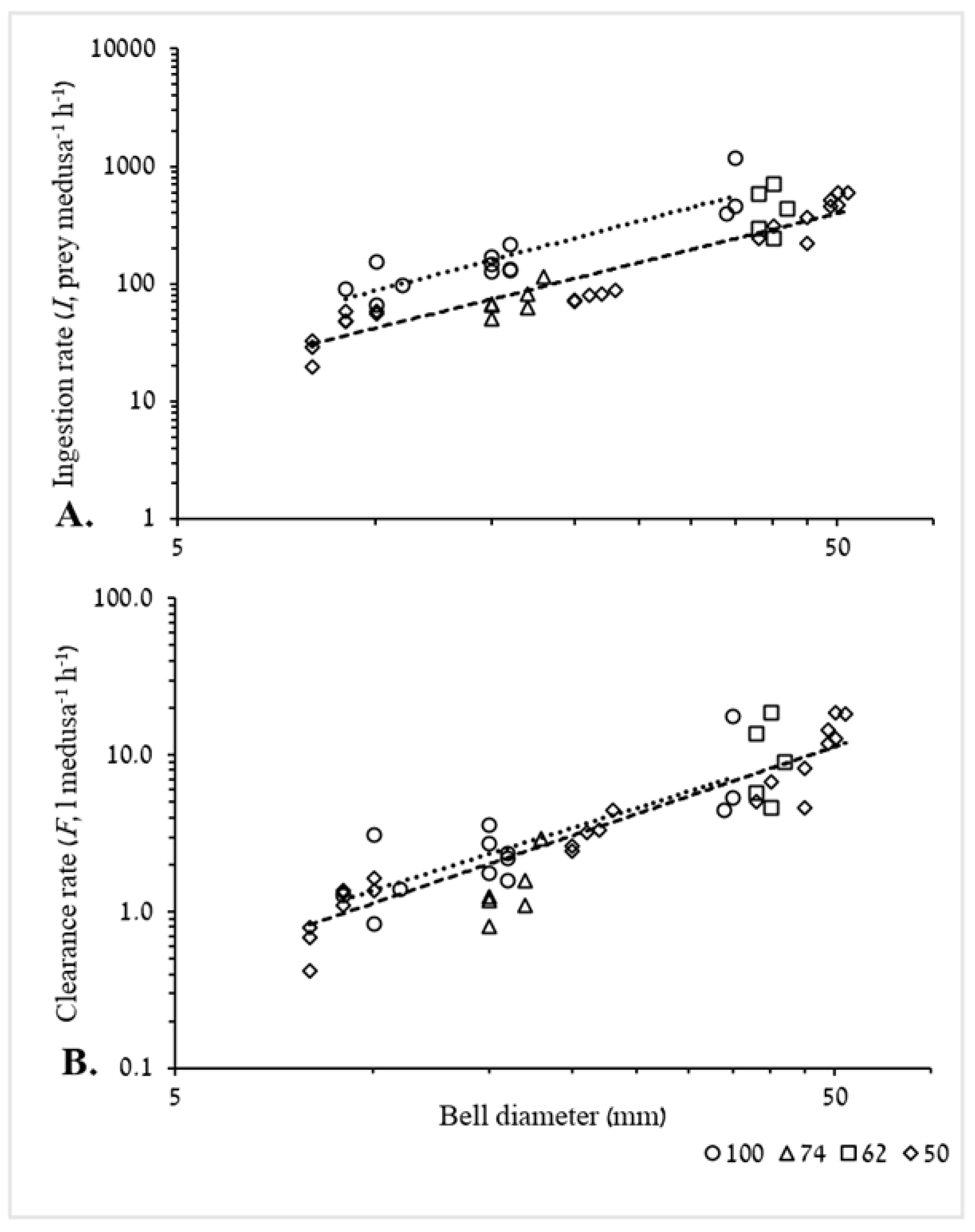 Diversity 13 00320 g006