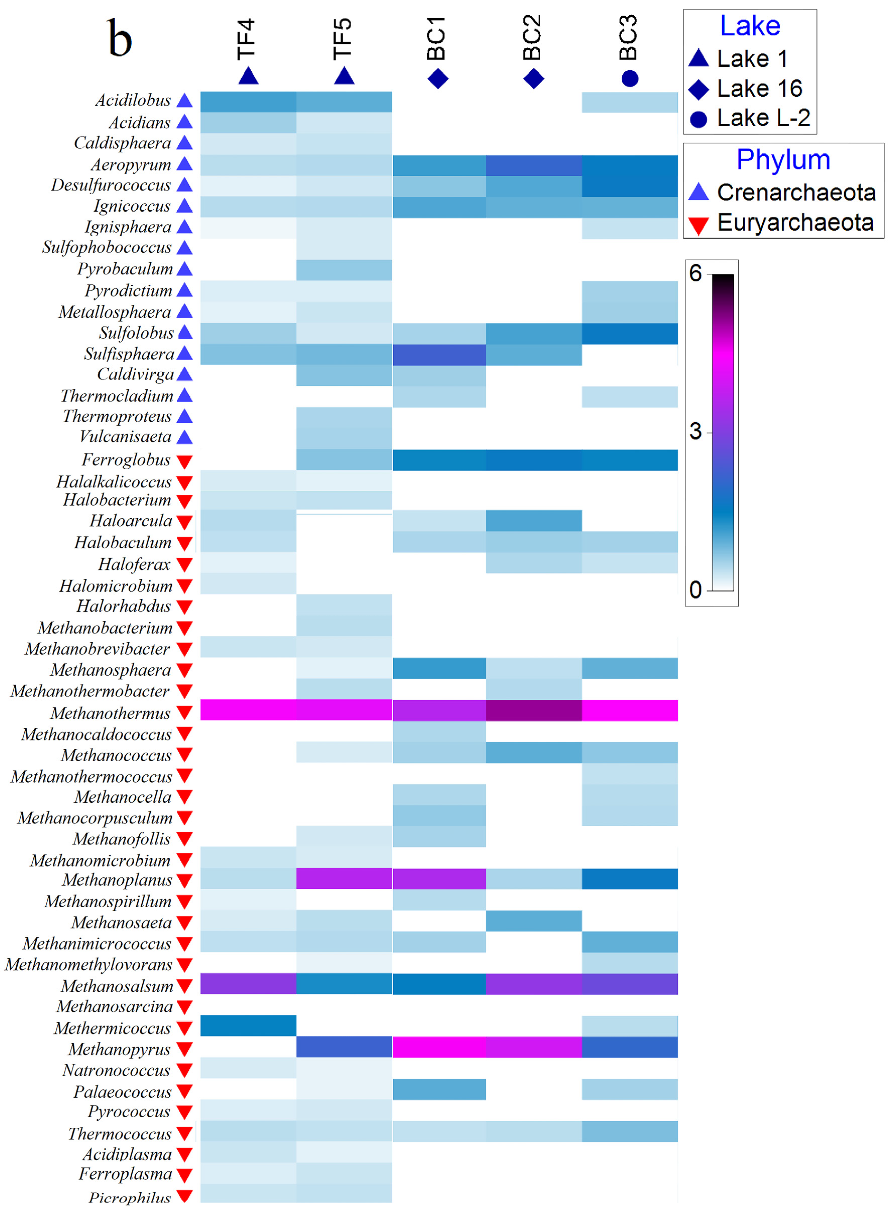 Diversity 13 00323 g004b Diversity 13 00323 g004b