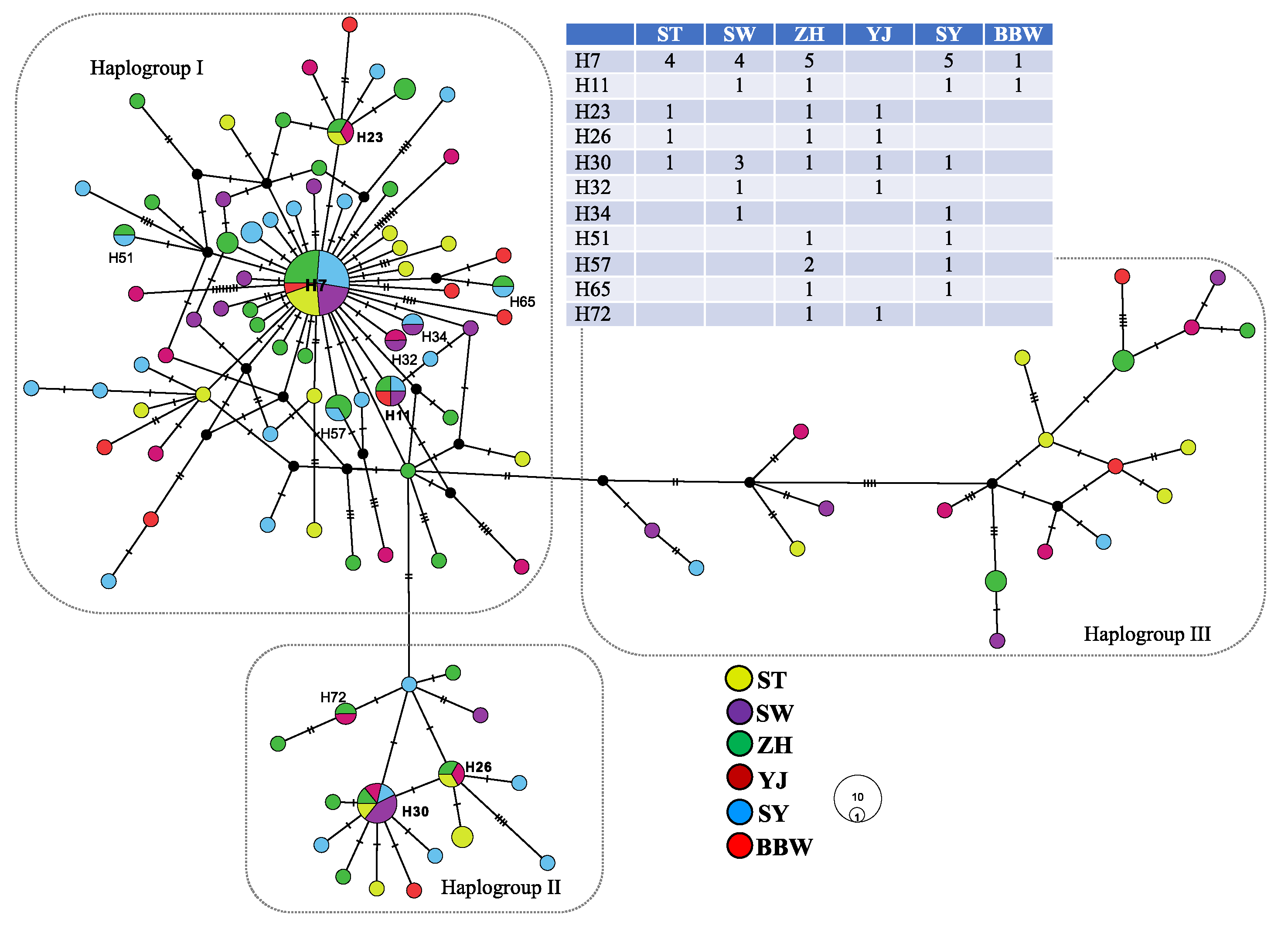 Diversity 13 00324 g002