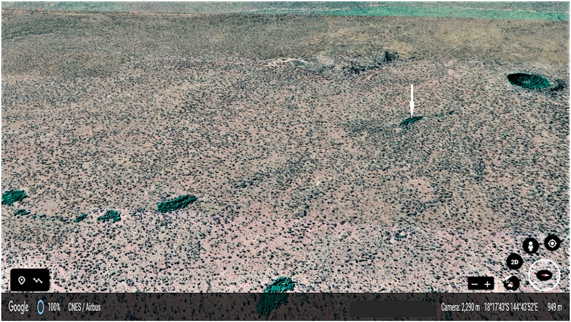 Diversity 13 00326 g003