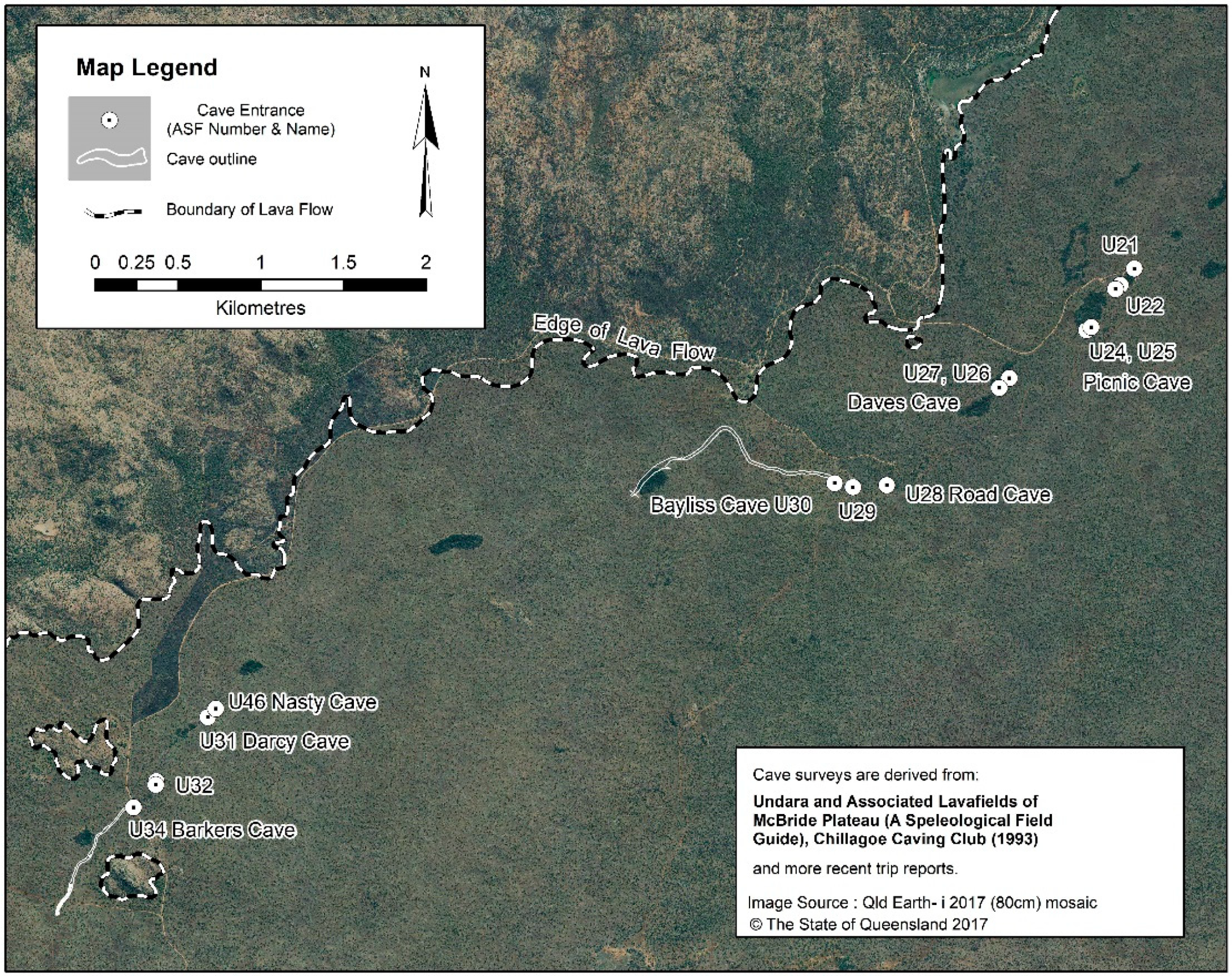 Diversity 13 00326 g004