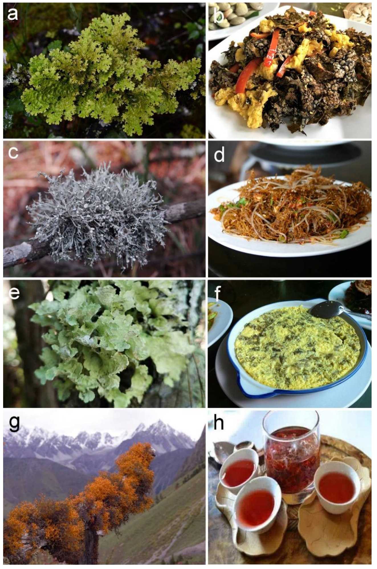 Diversity 13 00330 g004