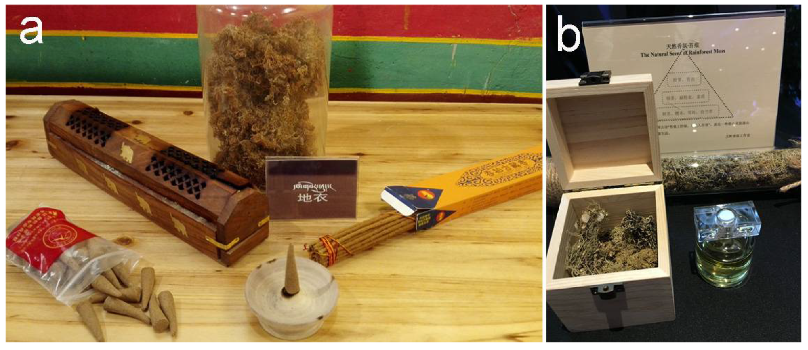 Diversity 13 00330 g005