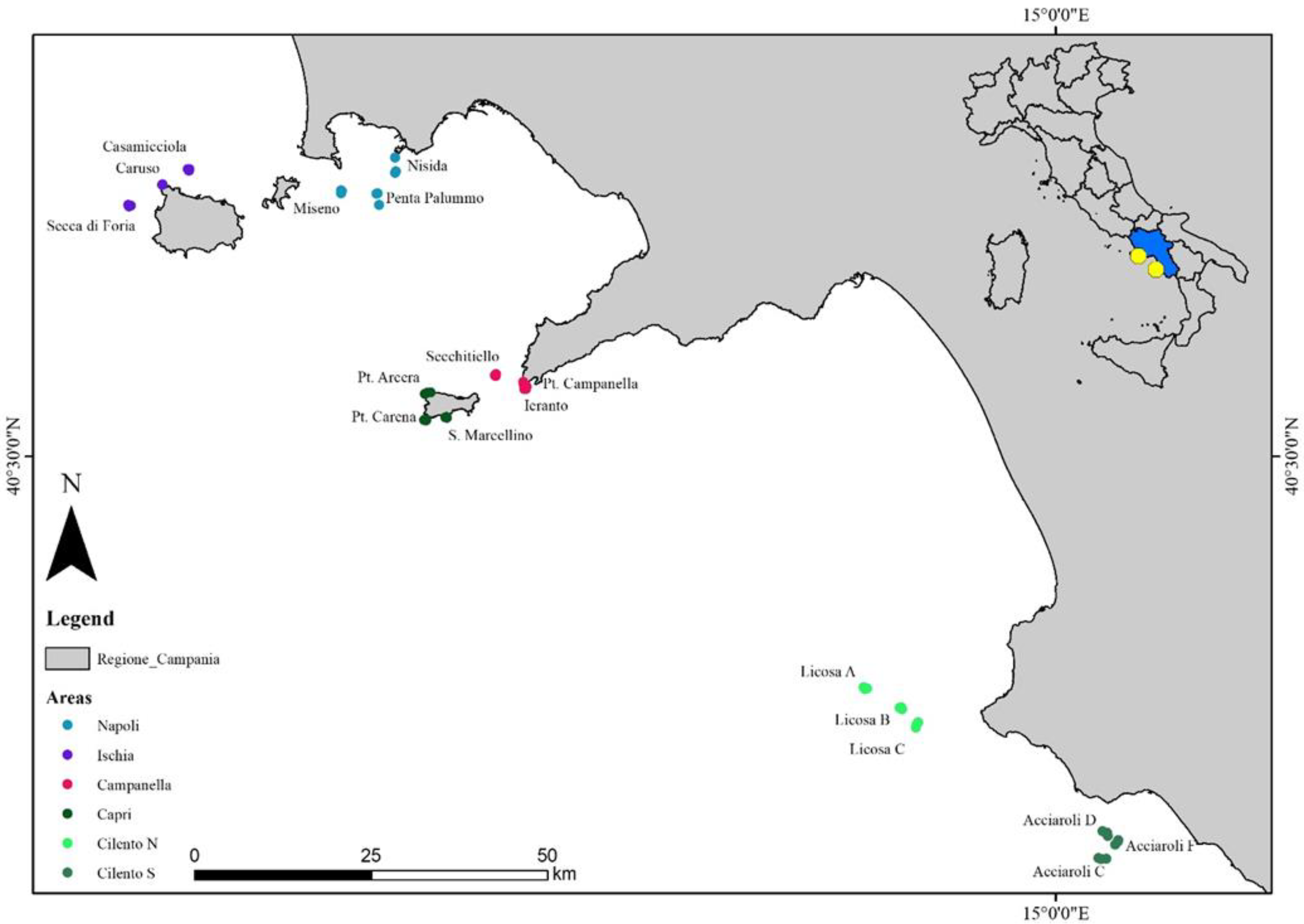 Diversity 13 00331 g001