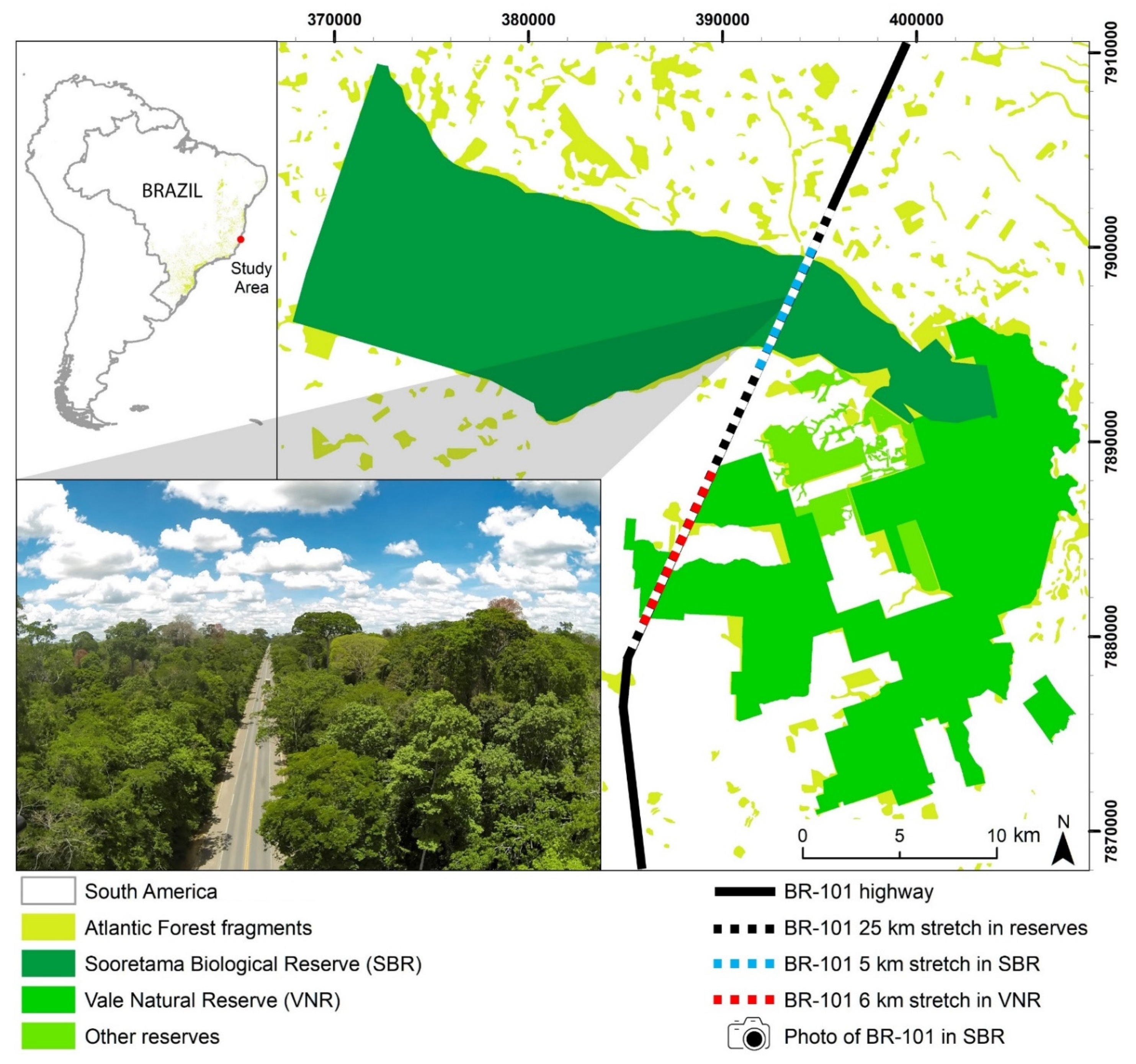 Diversity 13 00335 g001