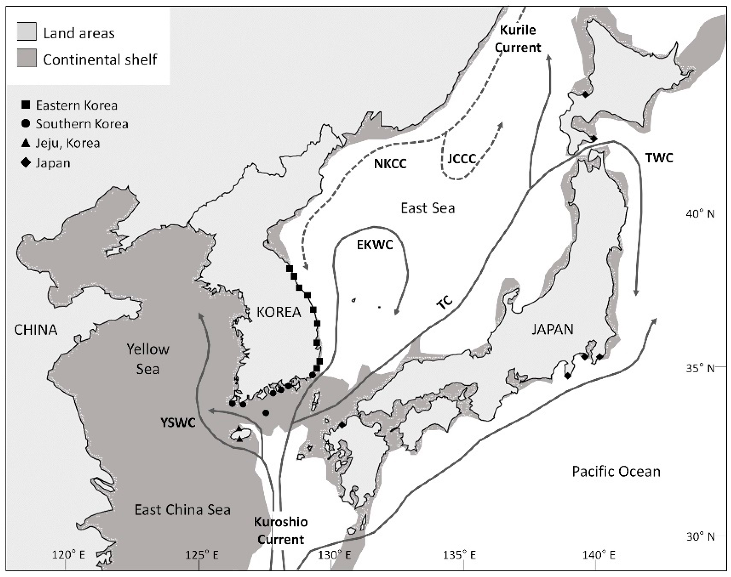 Diversity 13 00336 g001