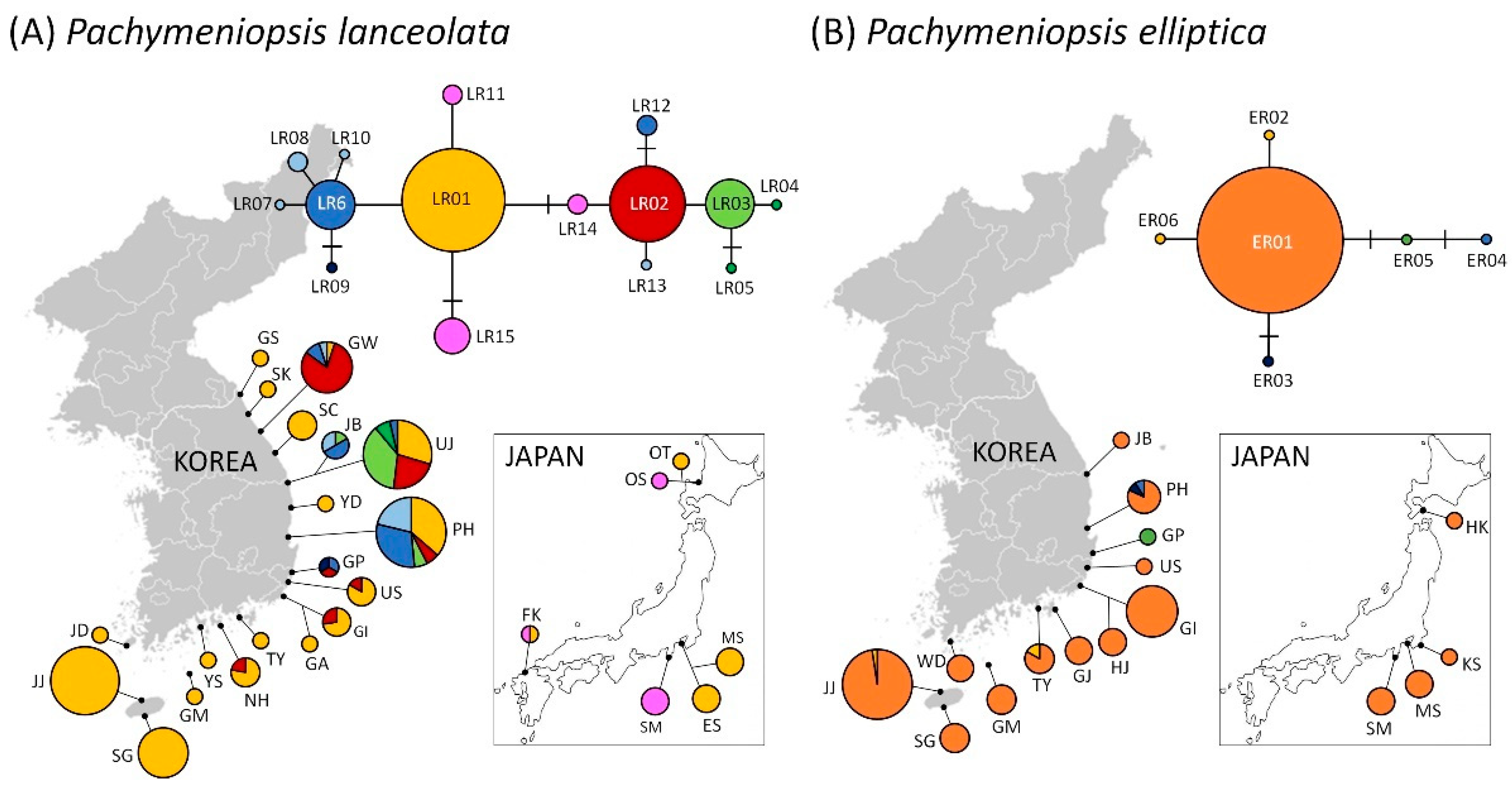 Diversity 13 00336 g003