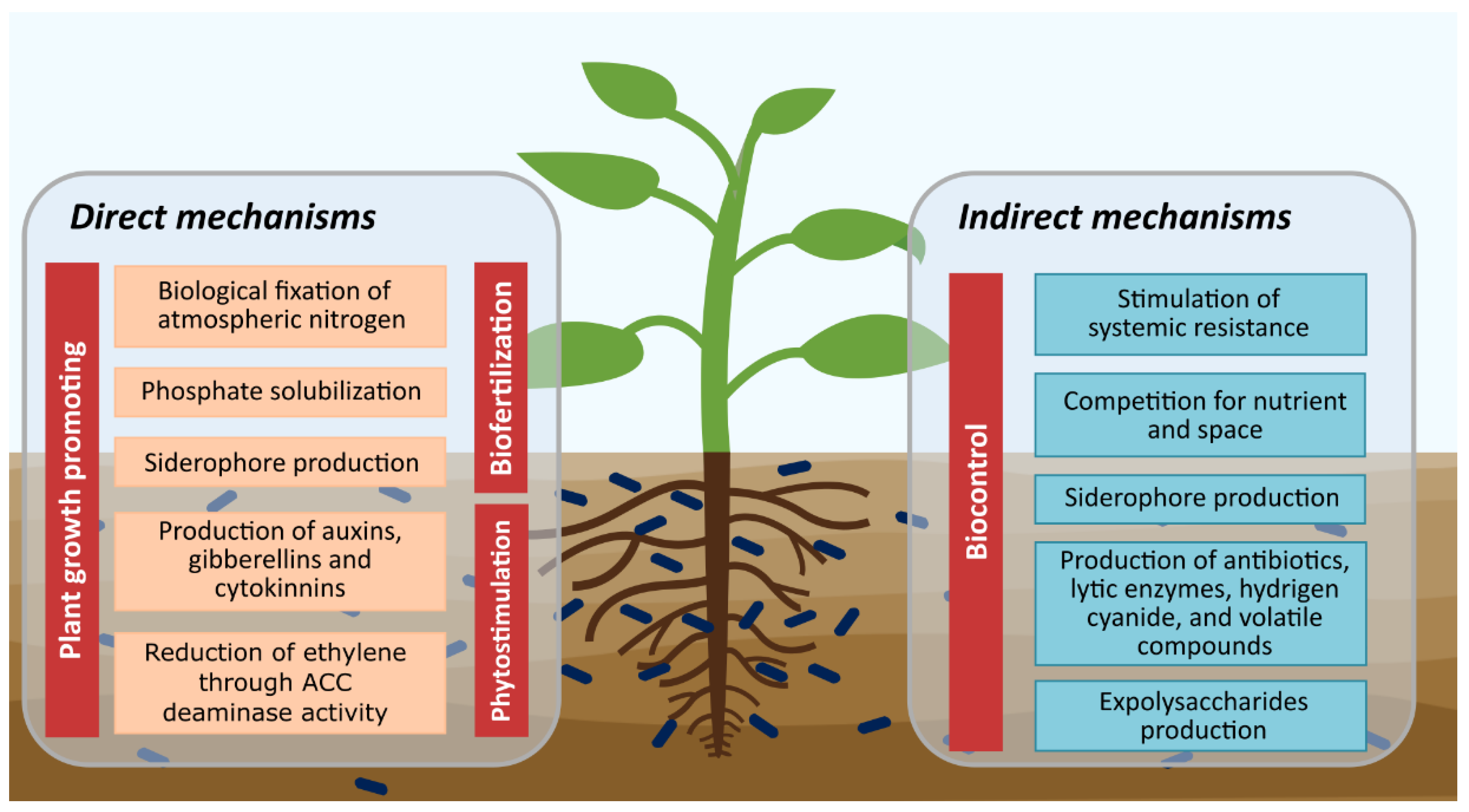 Diversity 13 00337 g001