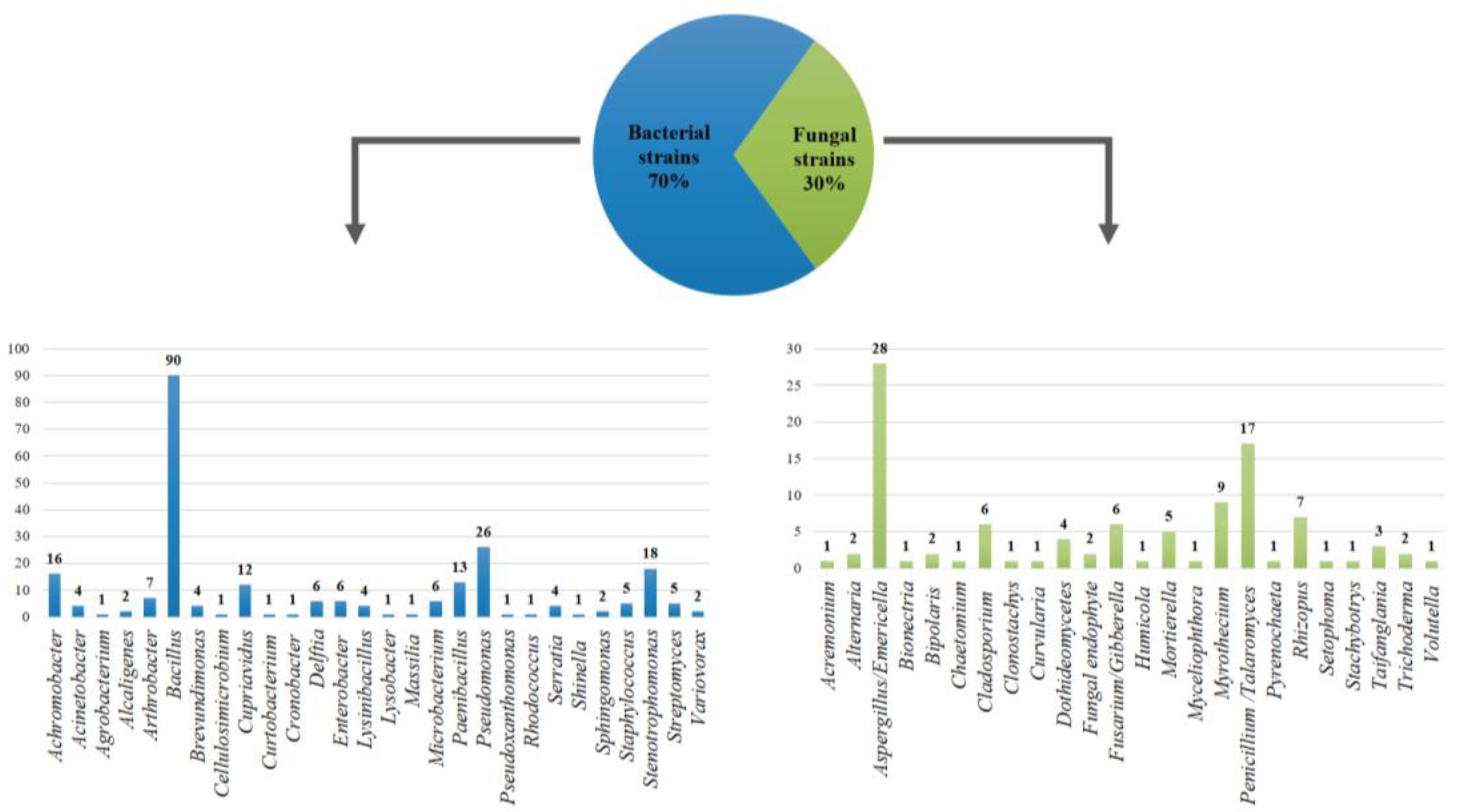 Diversity 13 00337 g003