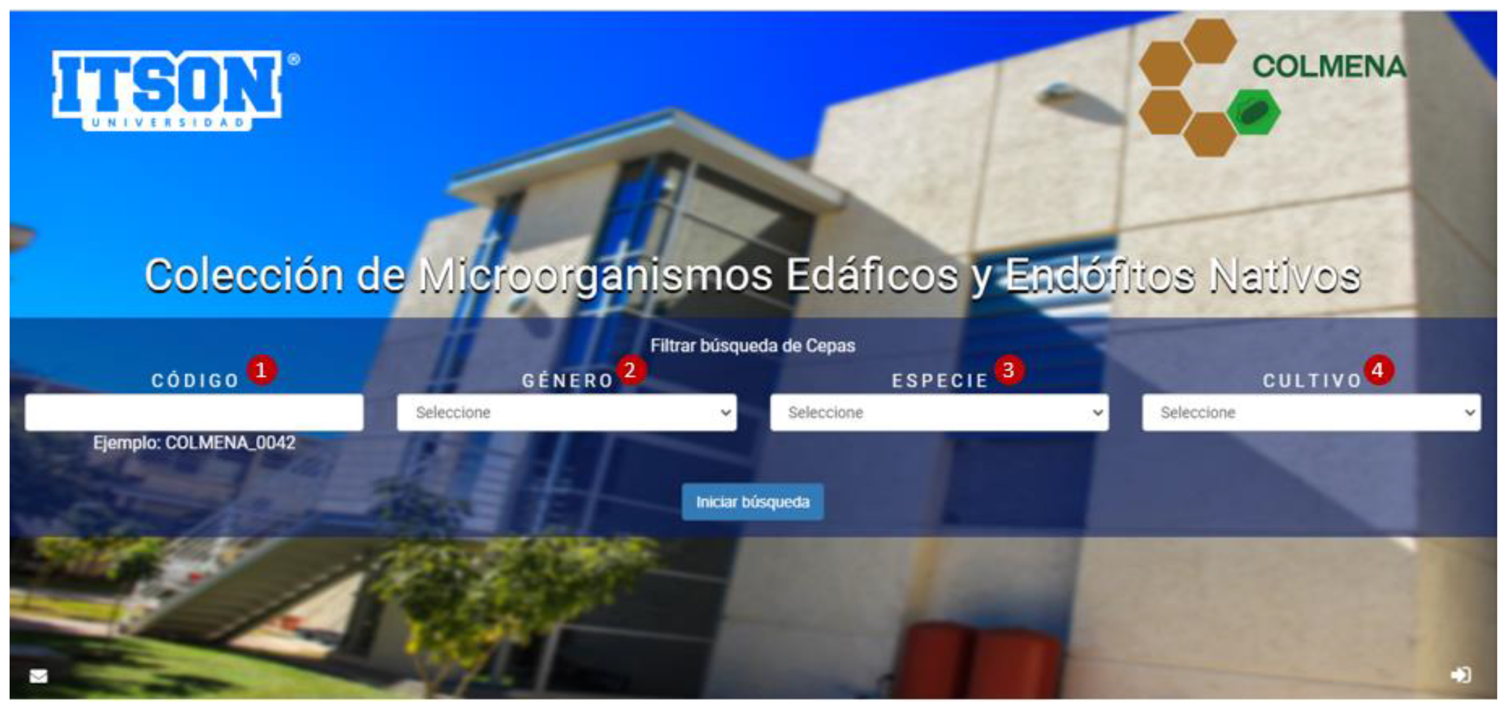 Diversity 13 00337 g004