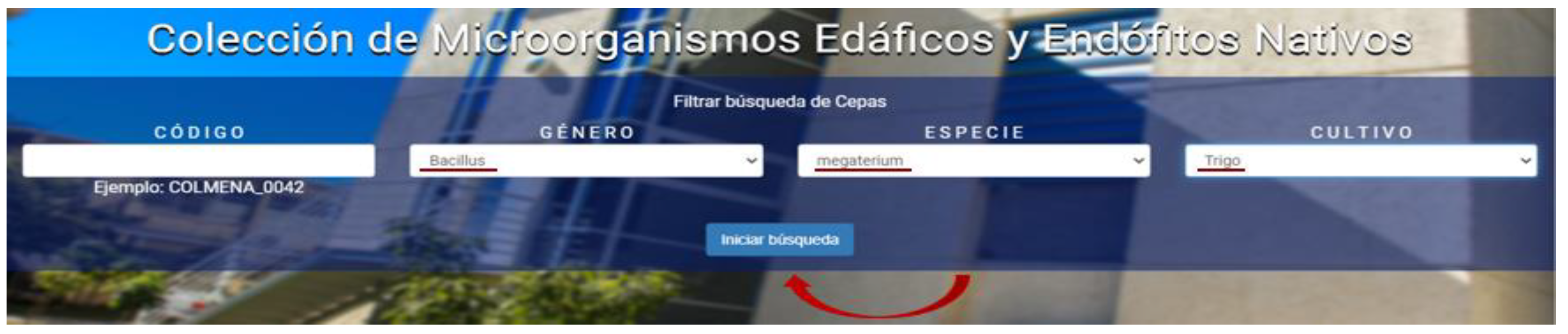 Diversity 13 00337 g005