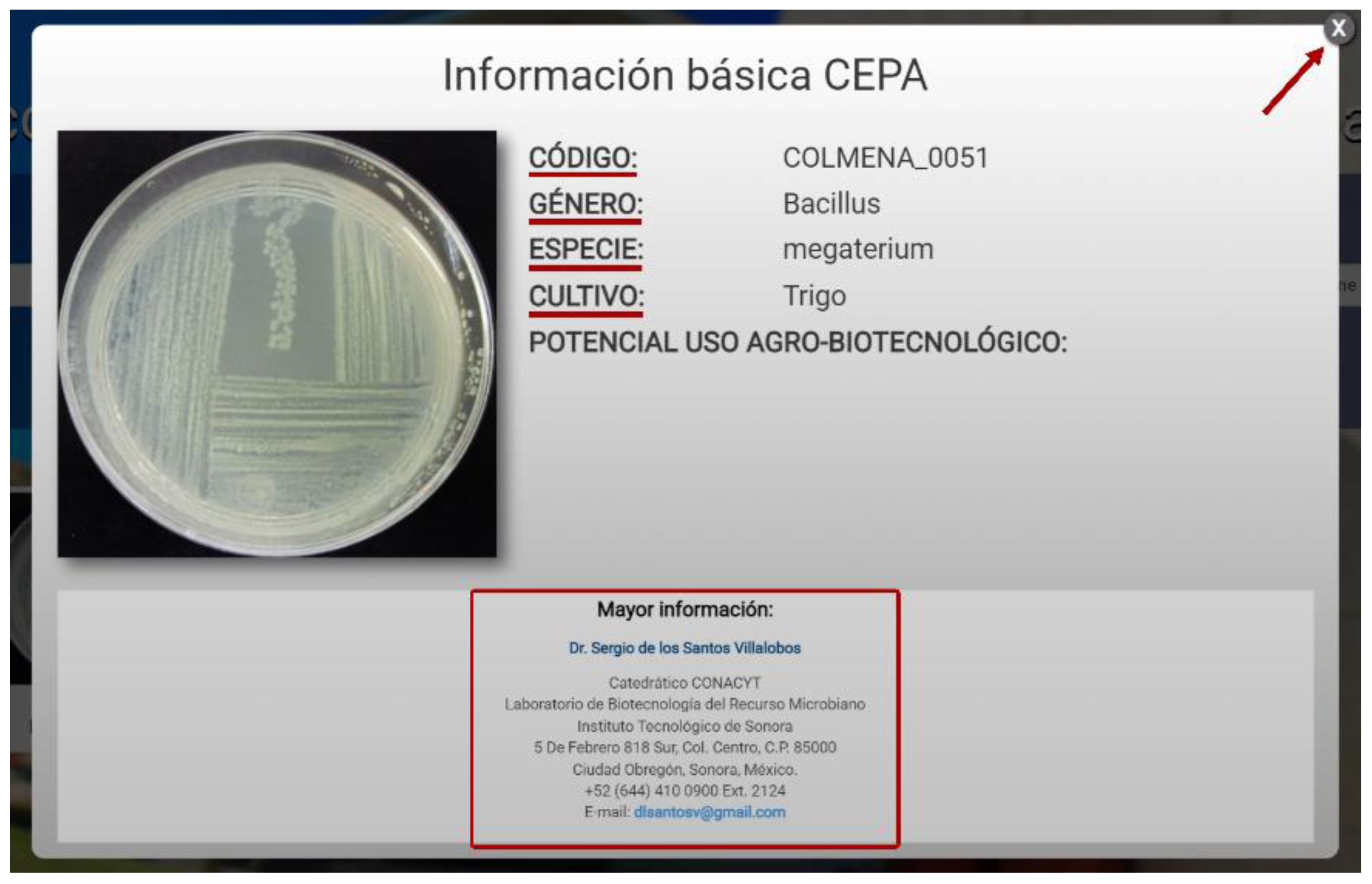 Diversity 13 00337 g007