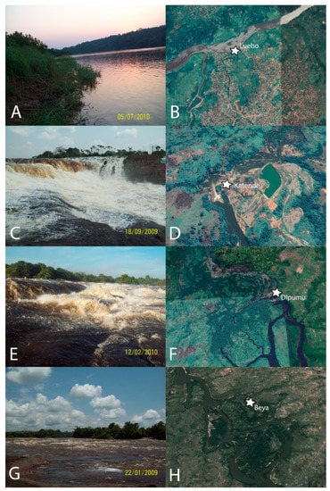 Diversity 13 00341 g0a1