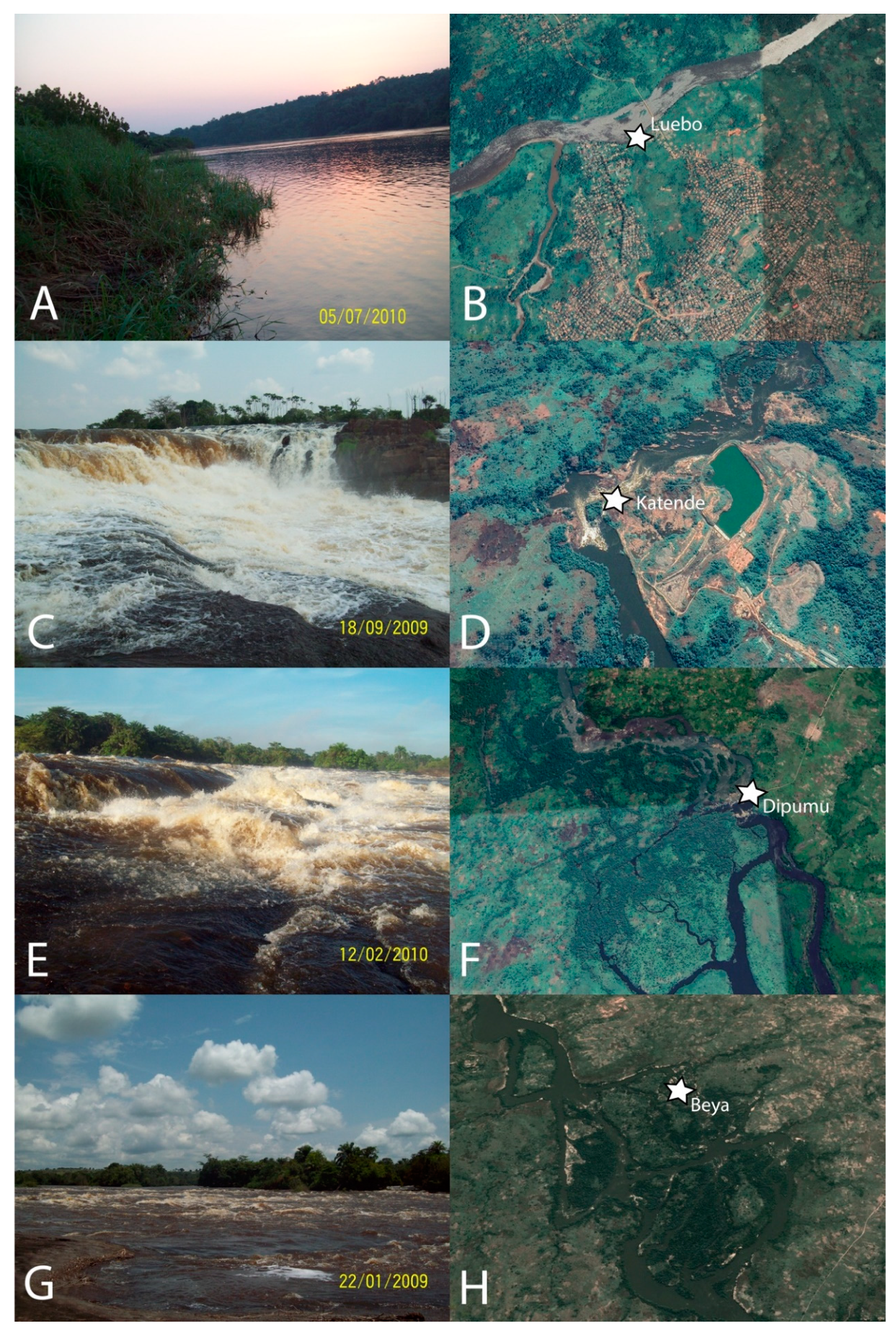 Diversity 13 00341 g0a1 Diversity 13 00341 g0a1