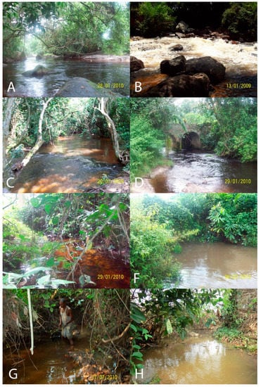 Diversity 13 00341 g0a2